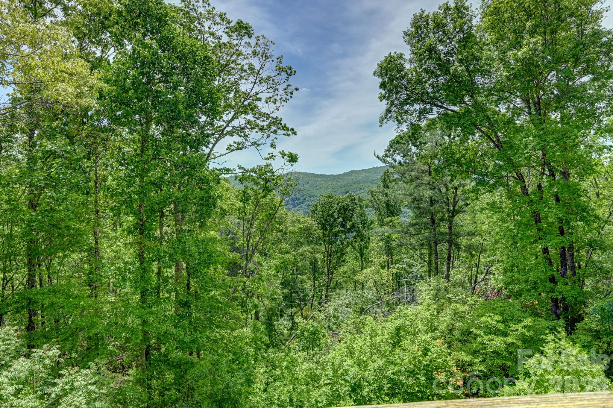 491 High Top Drive — Fletcher