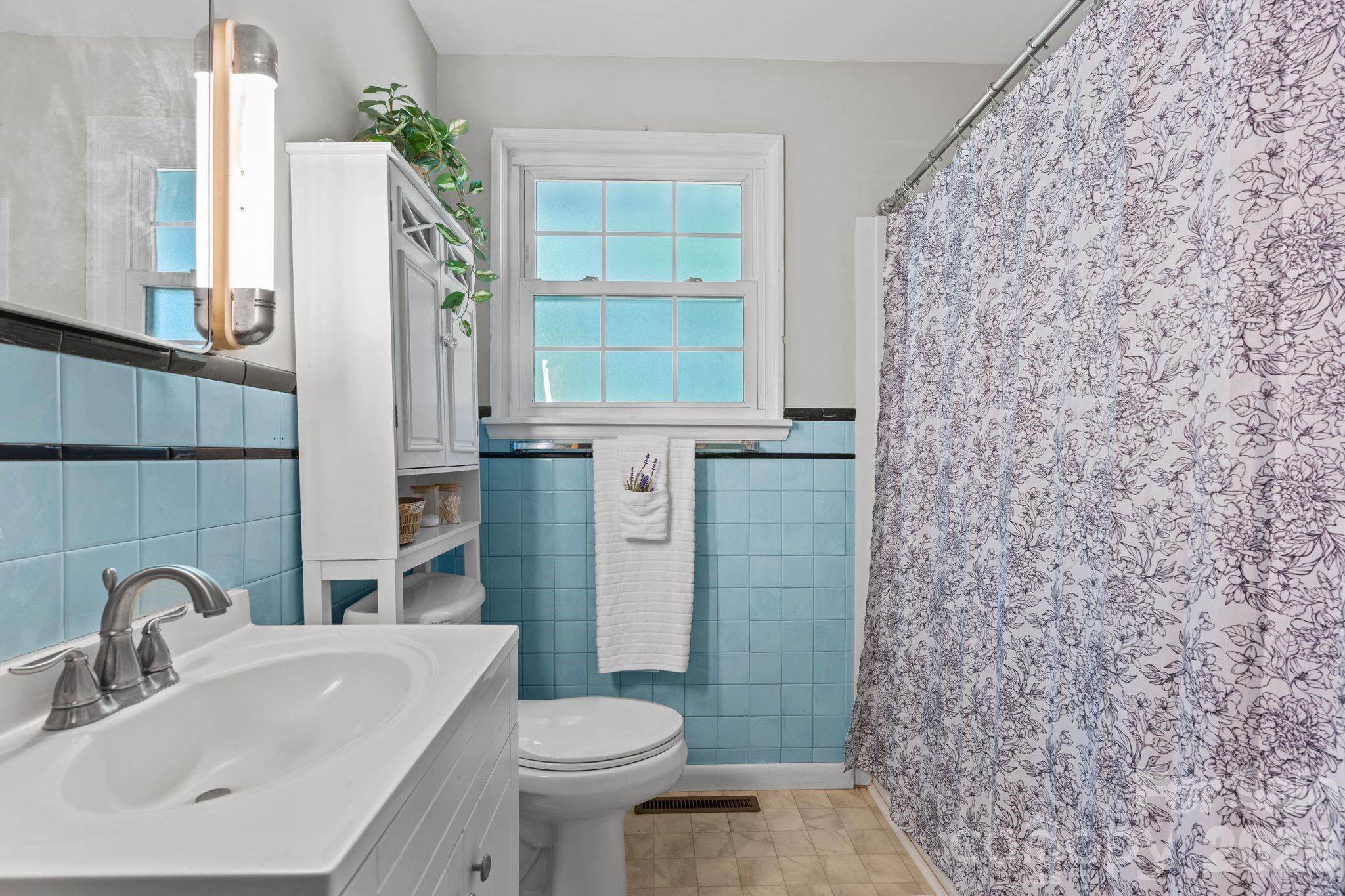 107 Appledore Avenue — Hendersonville
