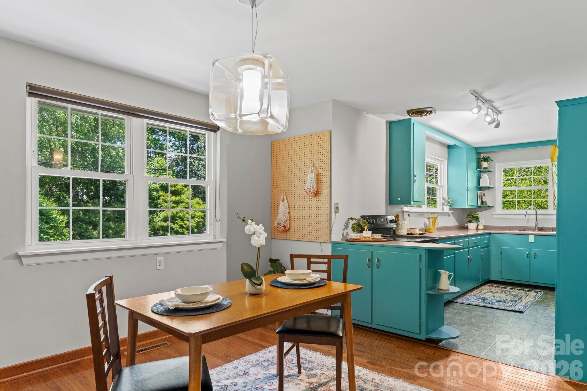 107 Appledore Avenue — Hendersonville