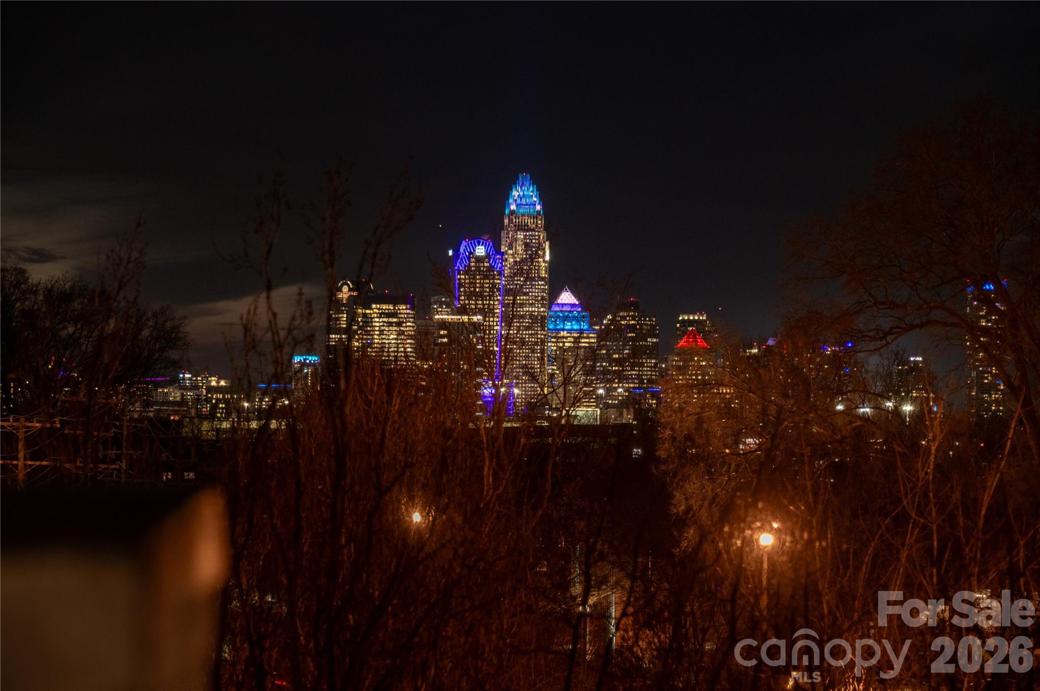 3123 N Davidson Street N #313 — Charlotte