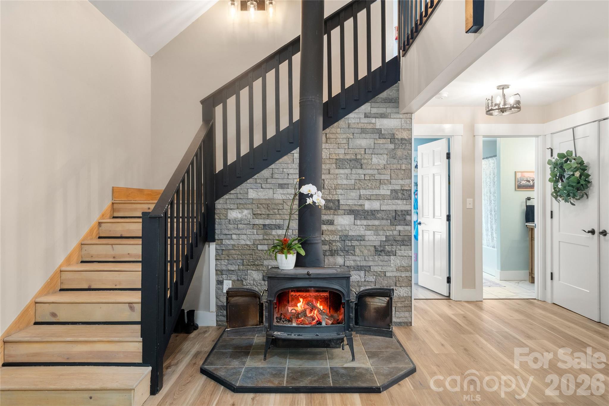 14 Locust Street — Black Mountain