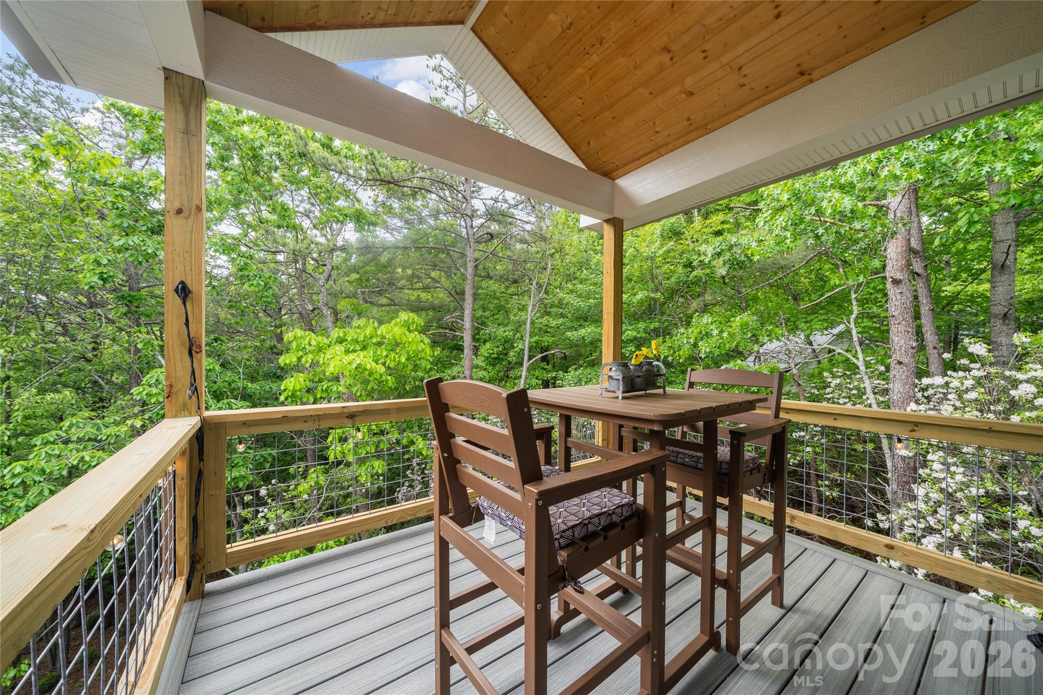 14 Locust Street — Black Mountain