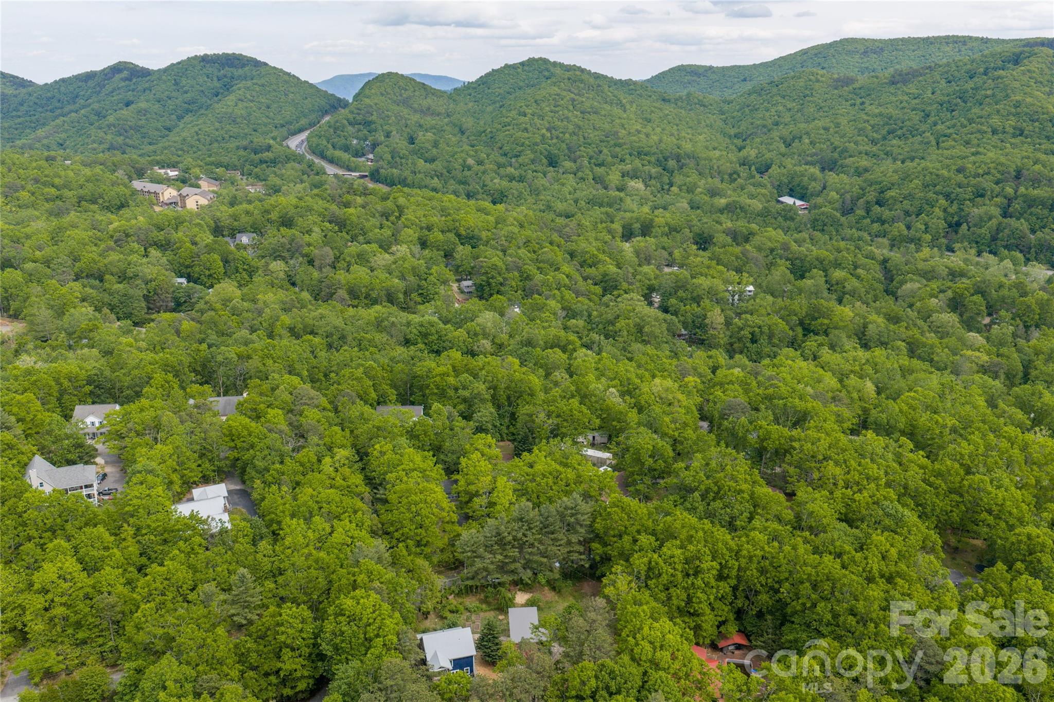 14 Locust Street — Black Mountain