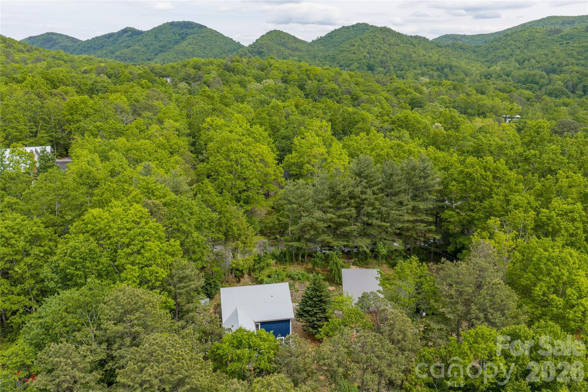 14 Locust Street — Black Mountain