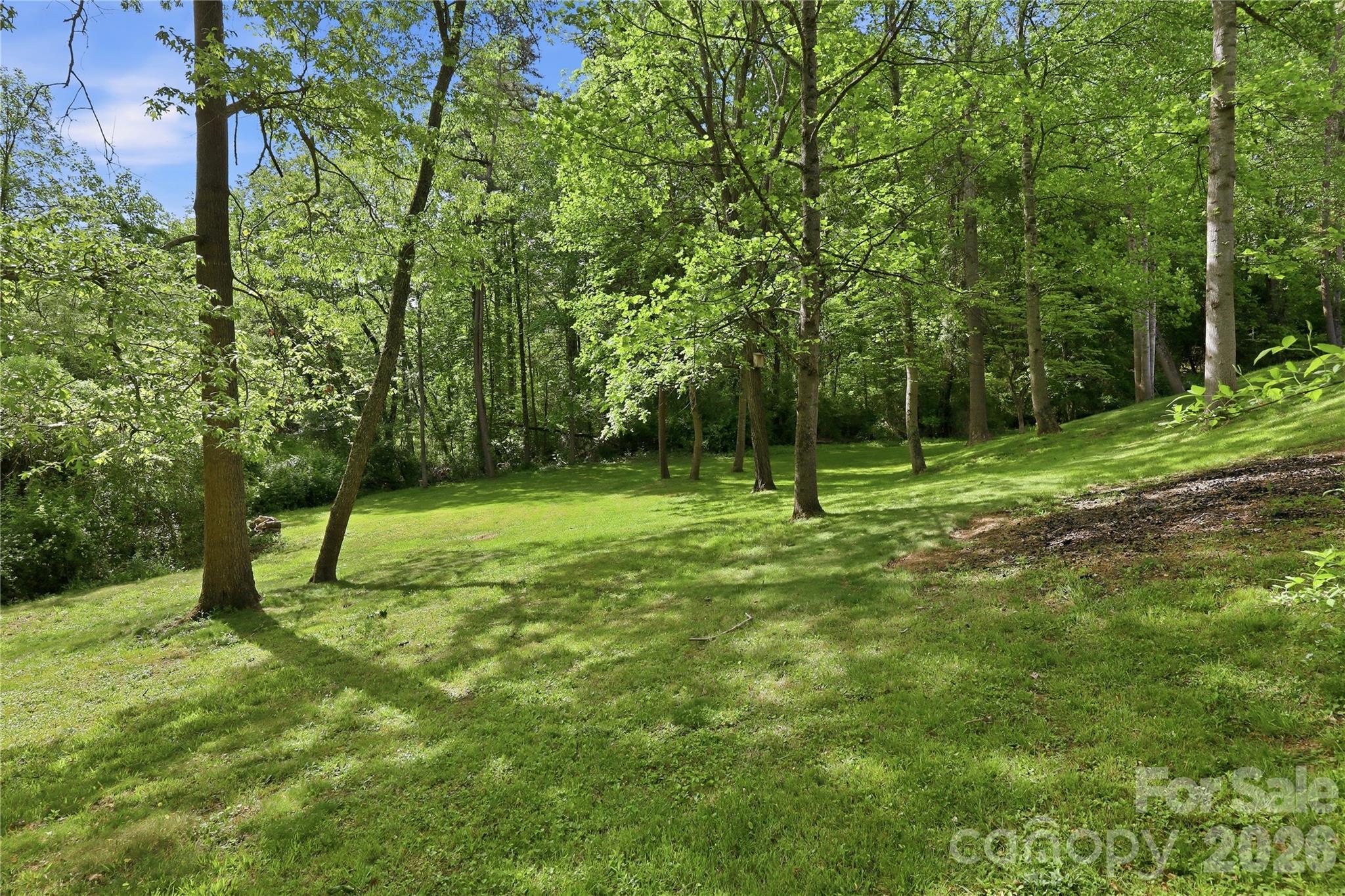 275 Ferguson Drive — Asheville