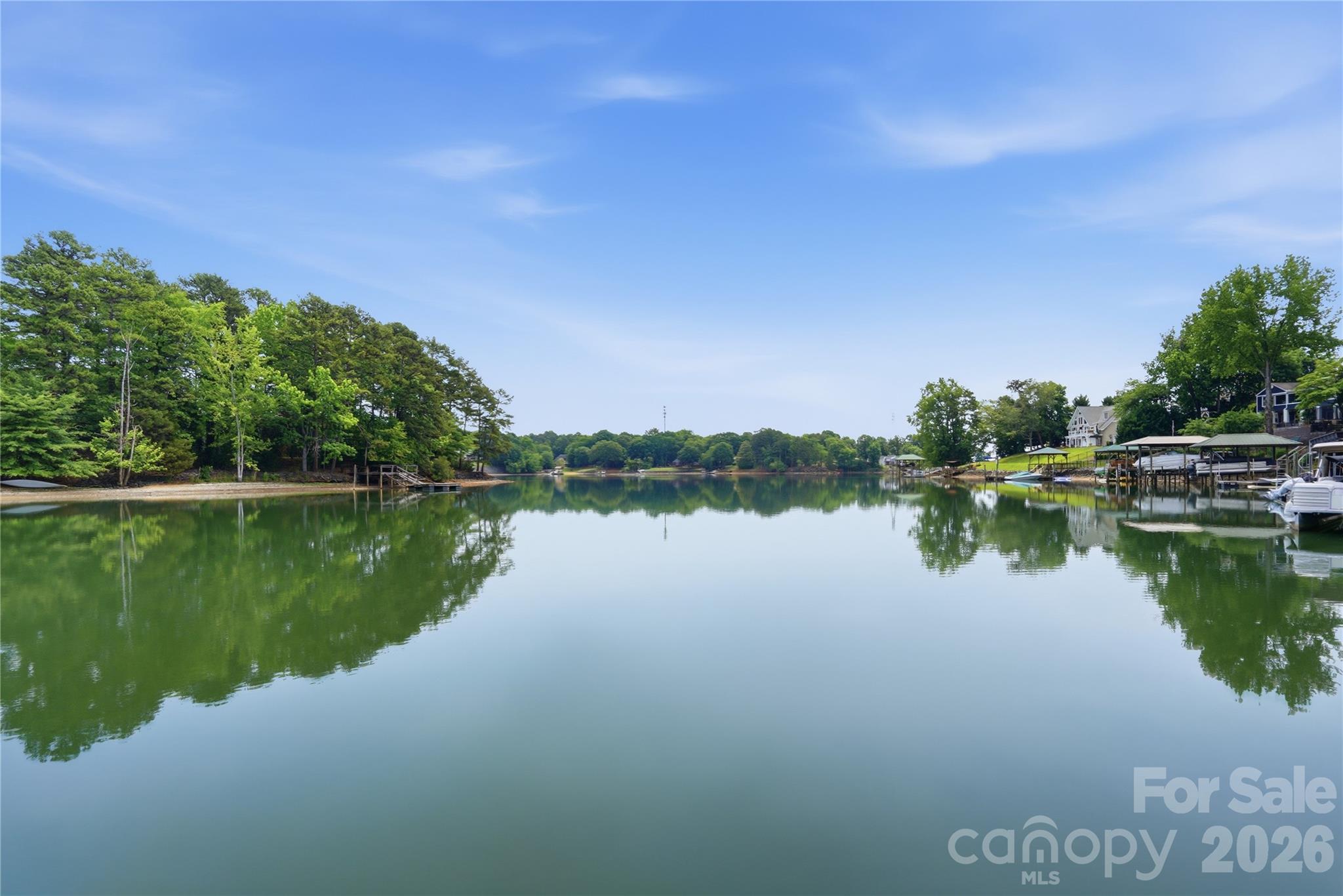 1113 Palmyra Drive — Tega Cay