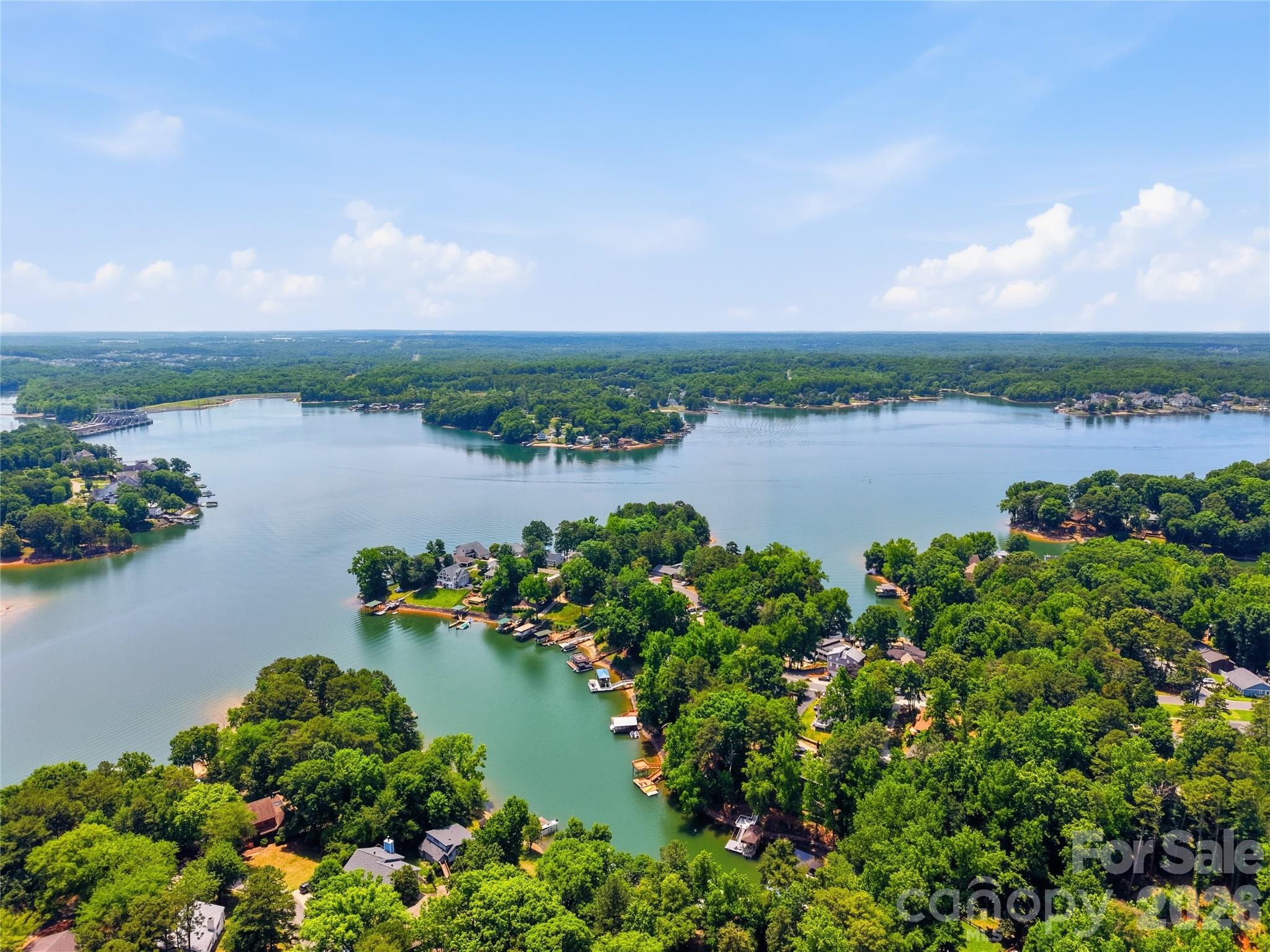 1113 Palmyra Drive — Tega Cay