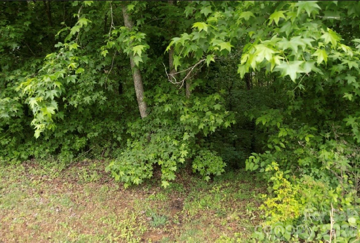5942 Timbertop Lane — Charlotte