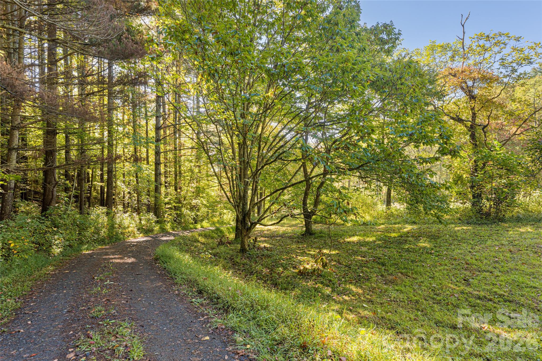 360 Banjo Branch Road — Burnsville