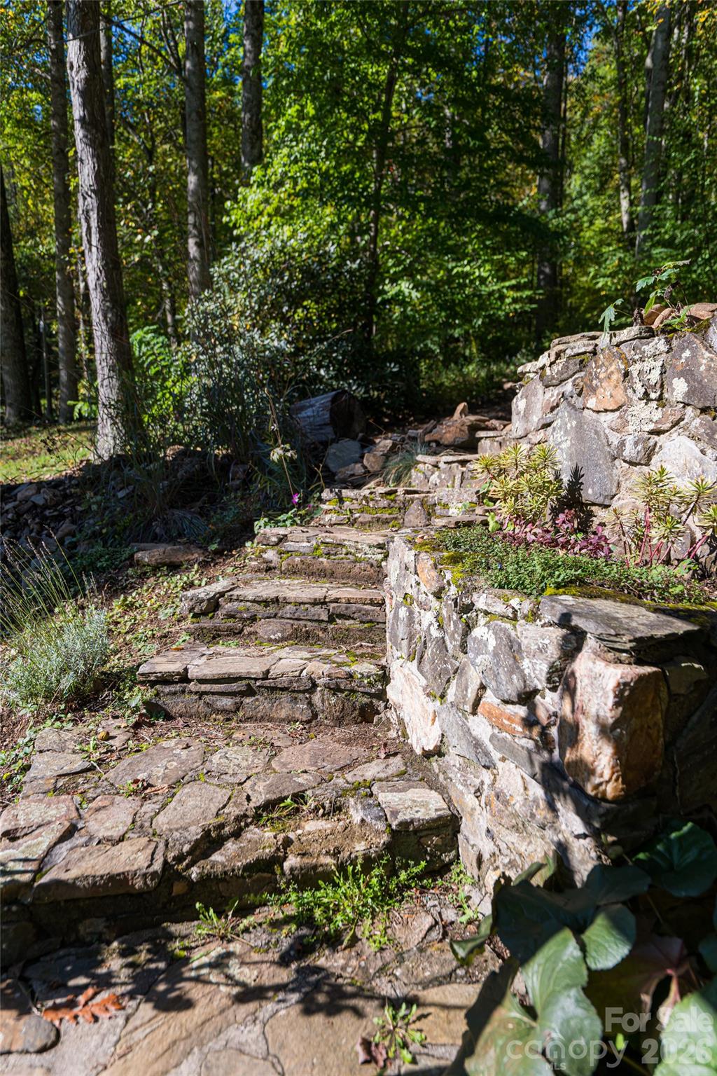 360 Banjo Branch Road — Burnsville