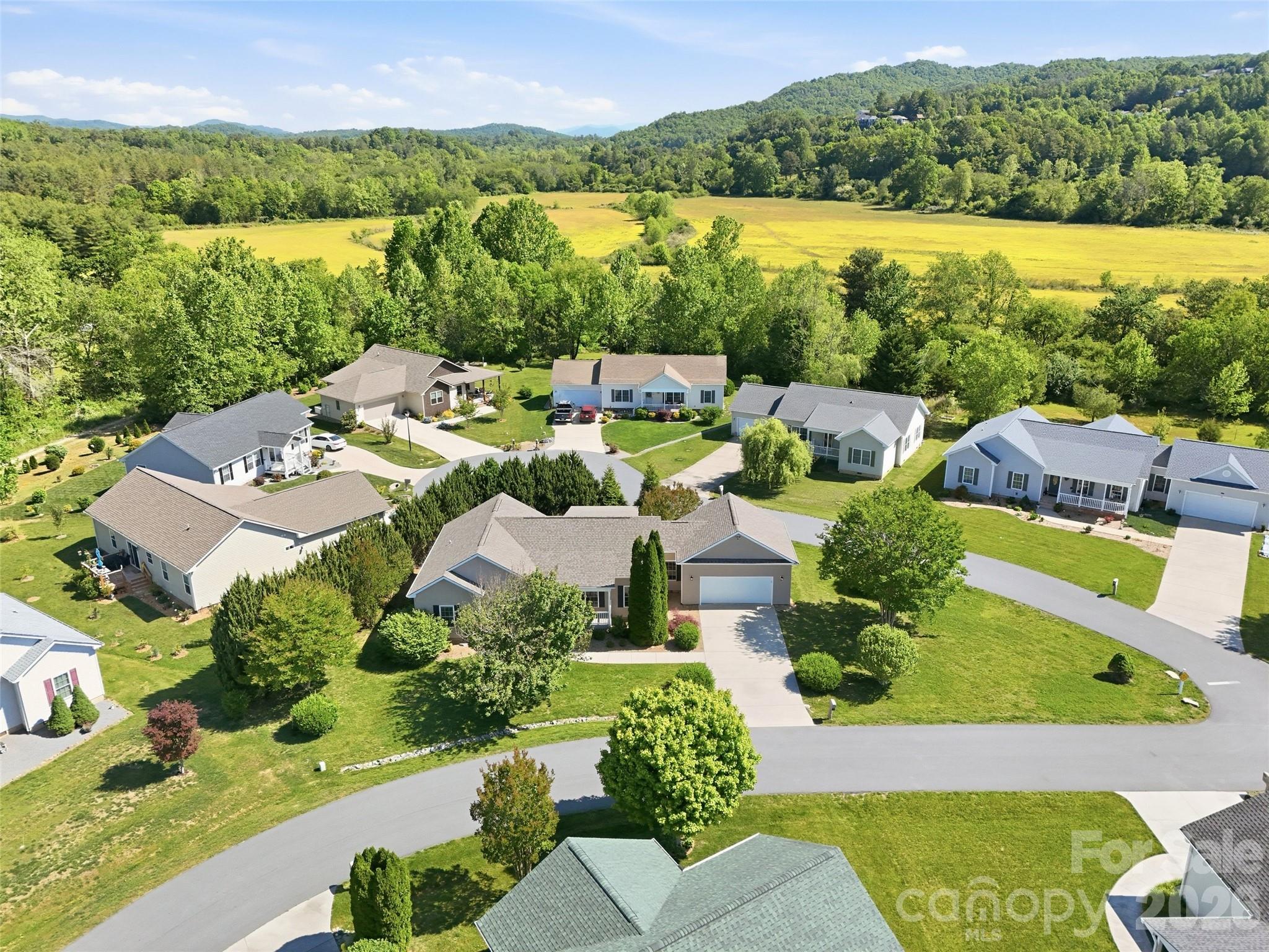 209 Beechnut Drive — Hendersonville