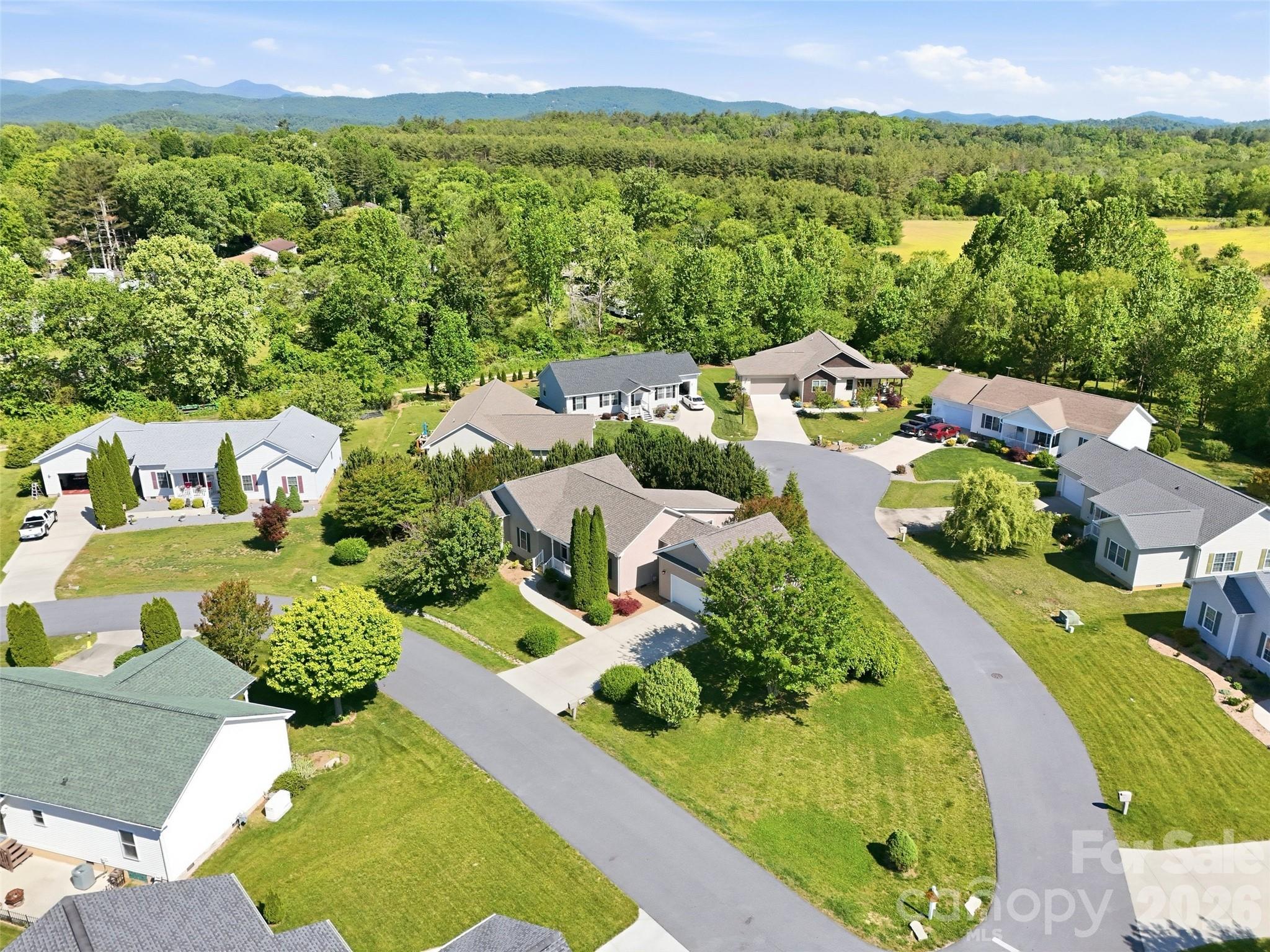 209 Beechnut Drive — Hendersonville