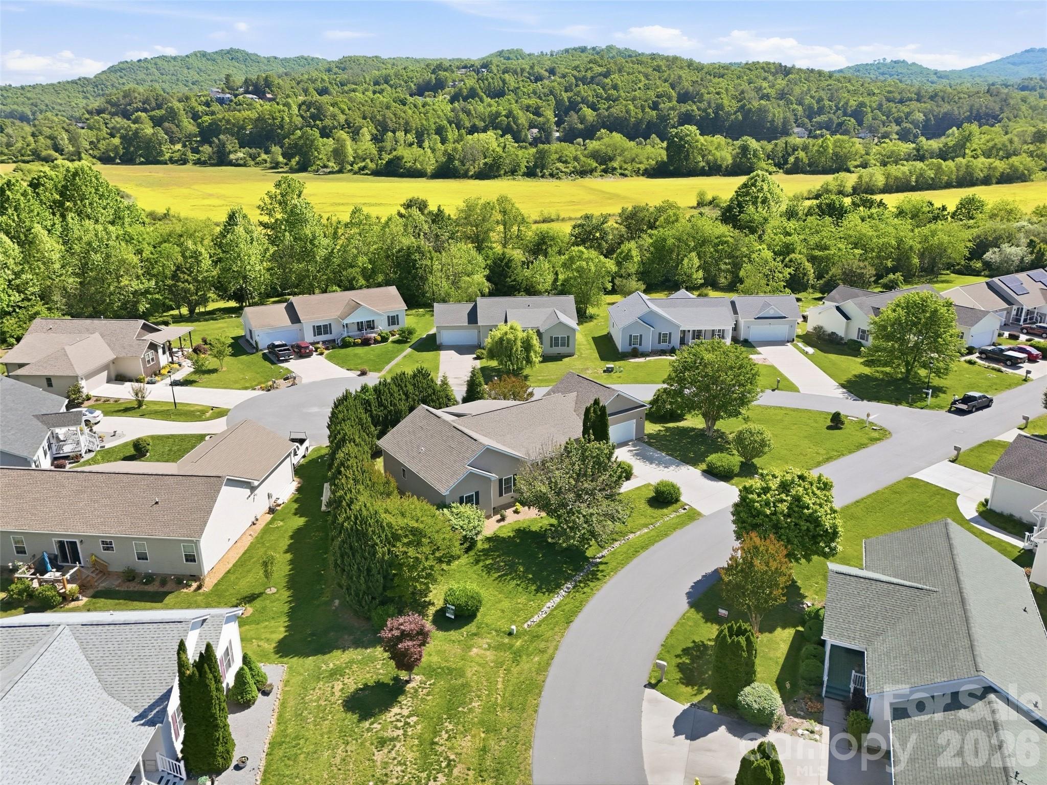 209 Beechnut Drive — Hendersonville