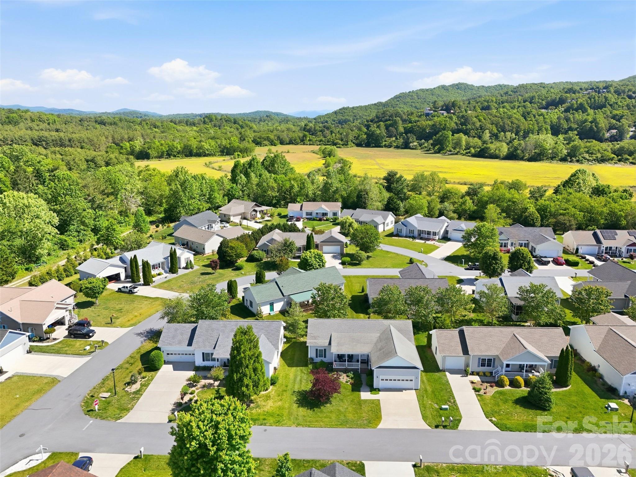 209 Beechnut Drive — Hendersonville