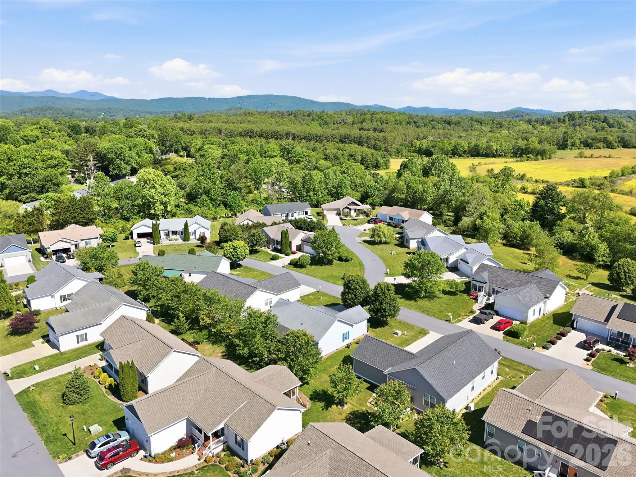 209 Beechnut Drive — Hendersonville