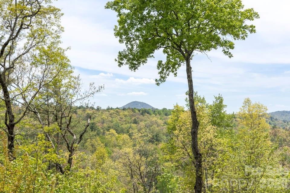 48 Bearfoot Lane — Highlands