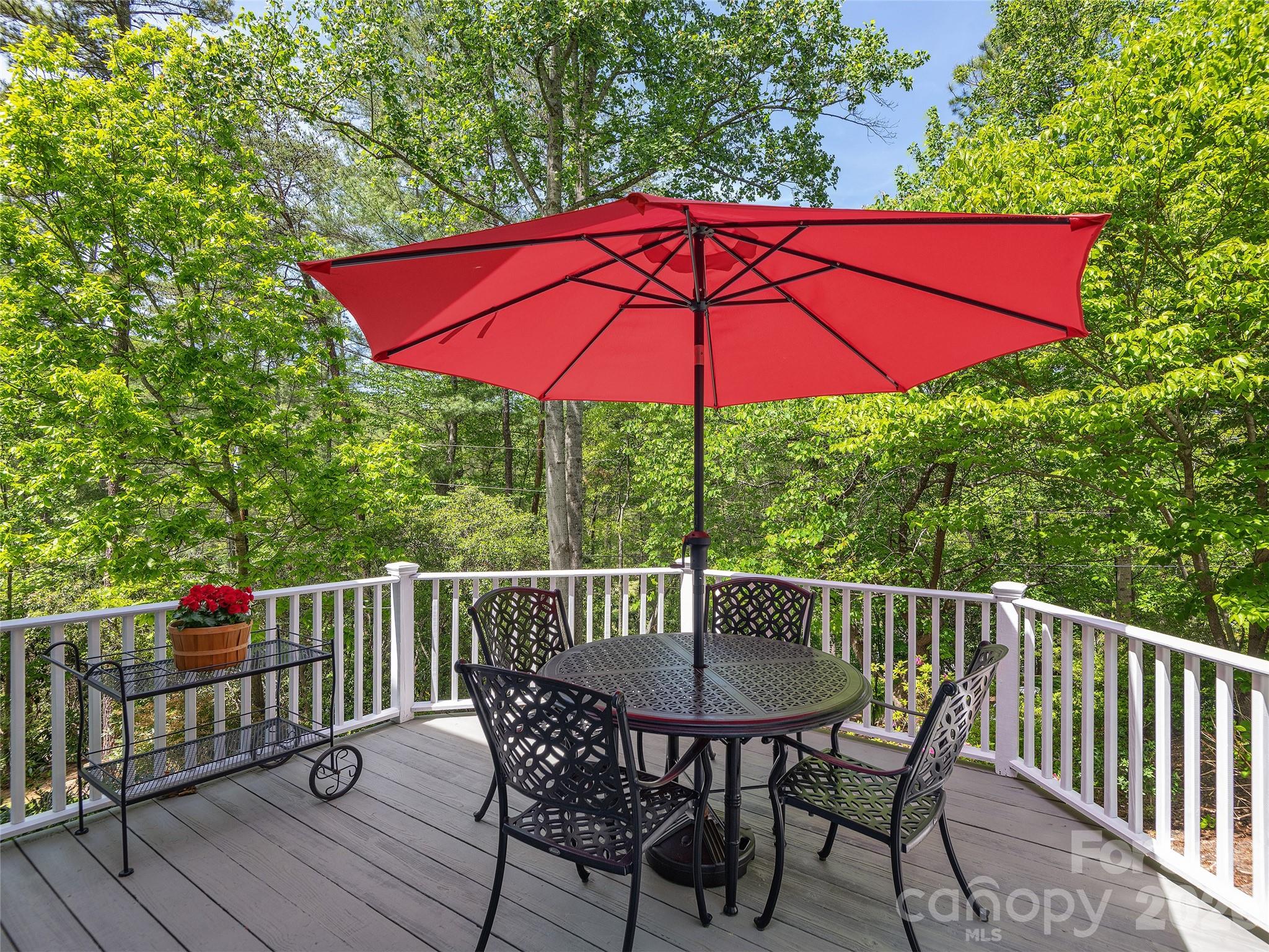 81 Old Gap Creek Road — Fairview