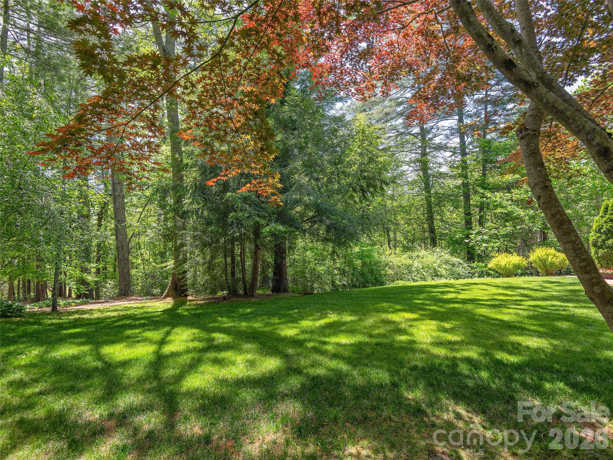 81 Old Gap Creek Road — Fairview