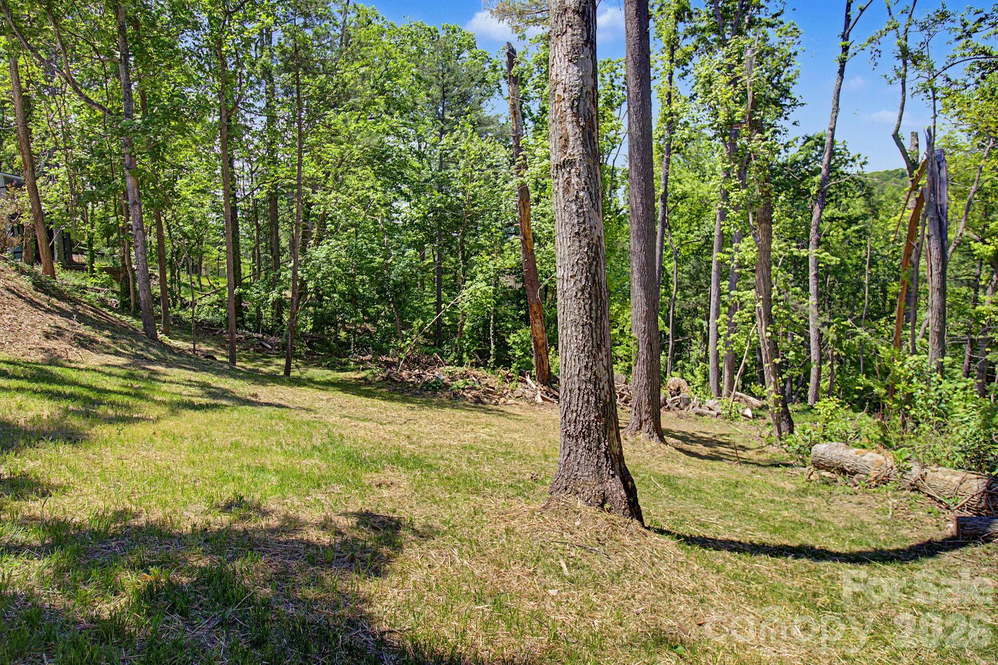 5 Kent Place — Asheville