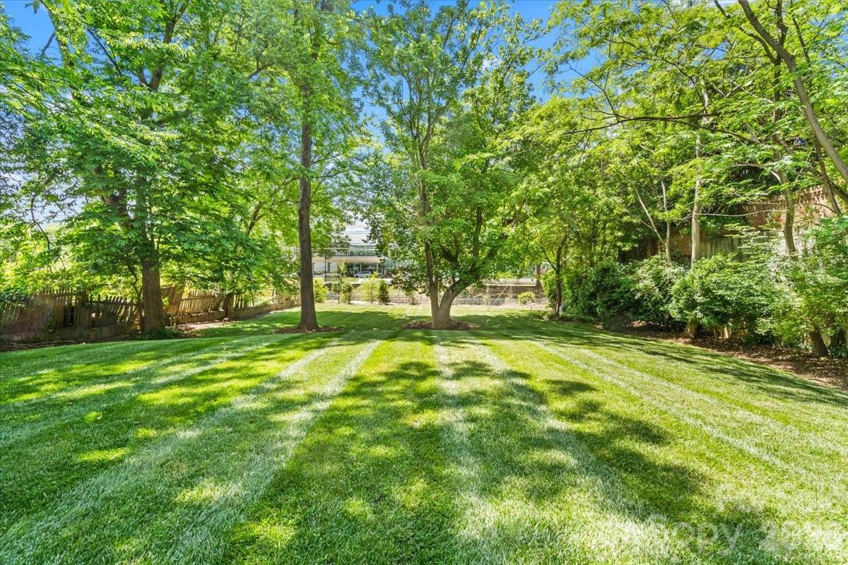 1160 S Kings Drive — Charlotte