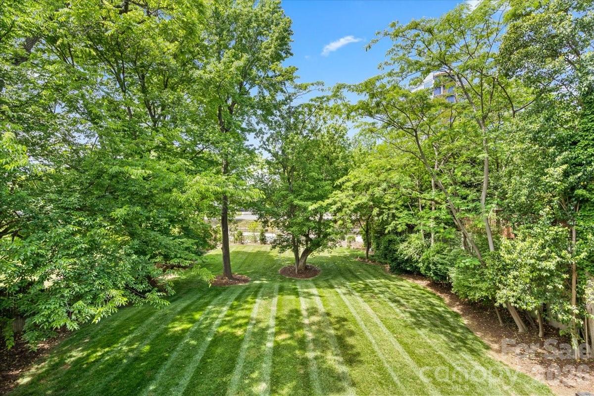 1160 S Kings Drive — Charlotte