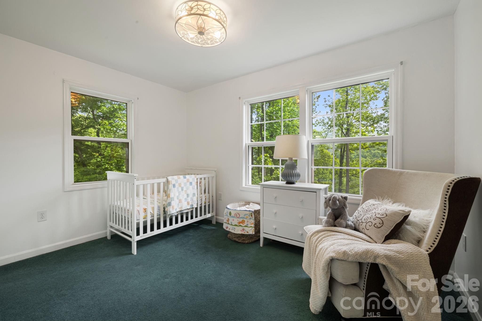 107 Mercy Ridge None — Sylva