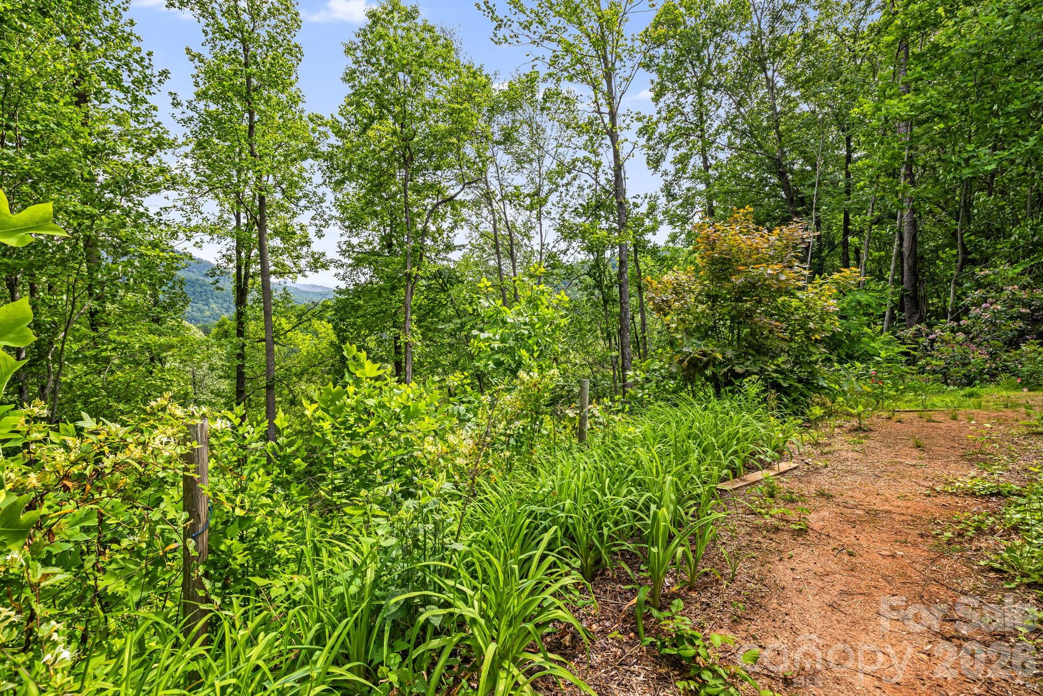 107 Mercy Ridge None — Sylva