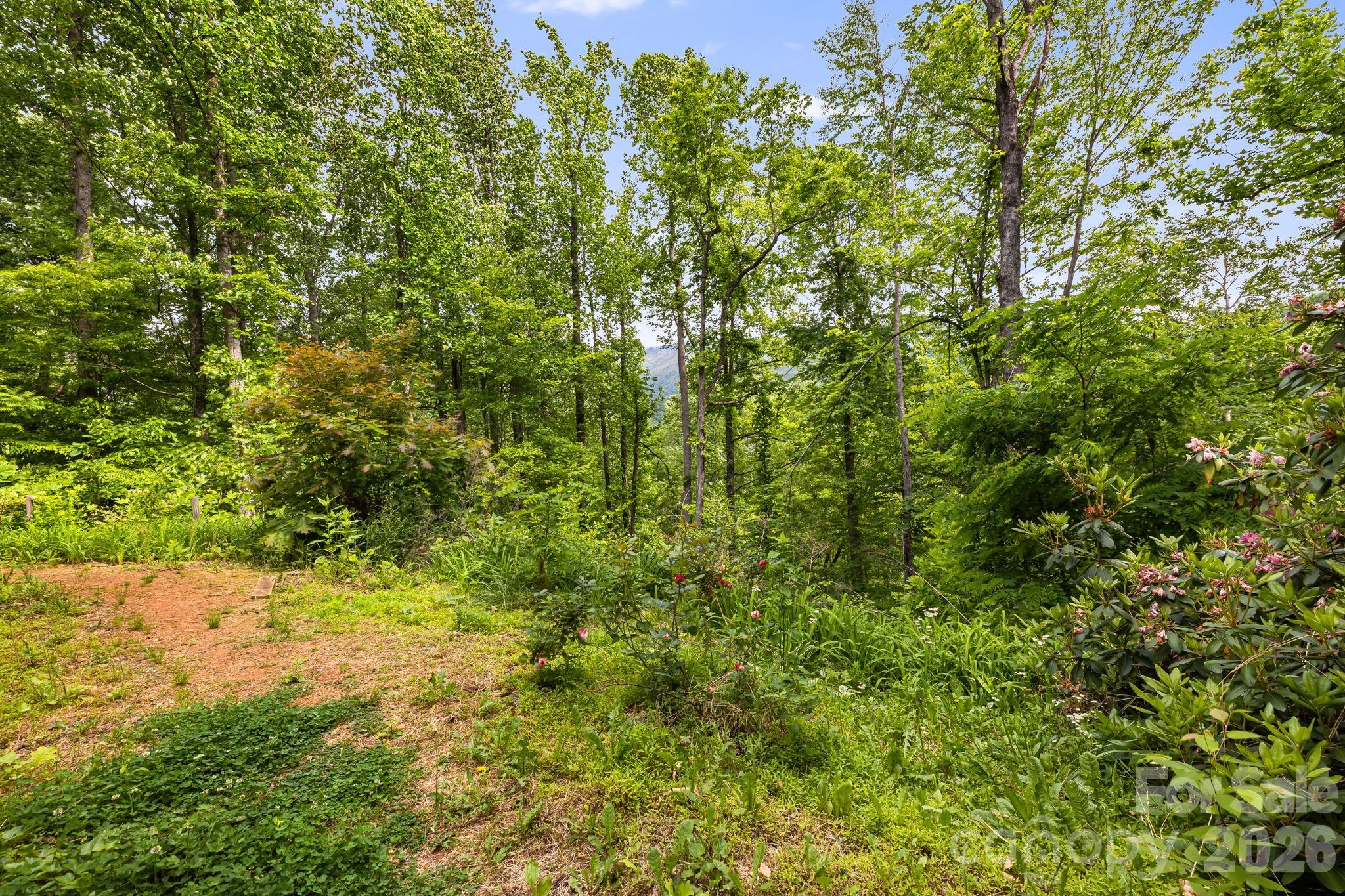107 Mercy Ridge None — Sylva