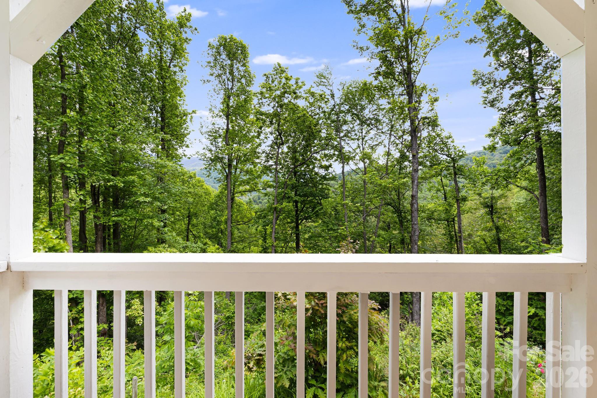 107 Mercy Ridge None — Sylva