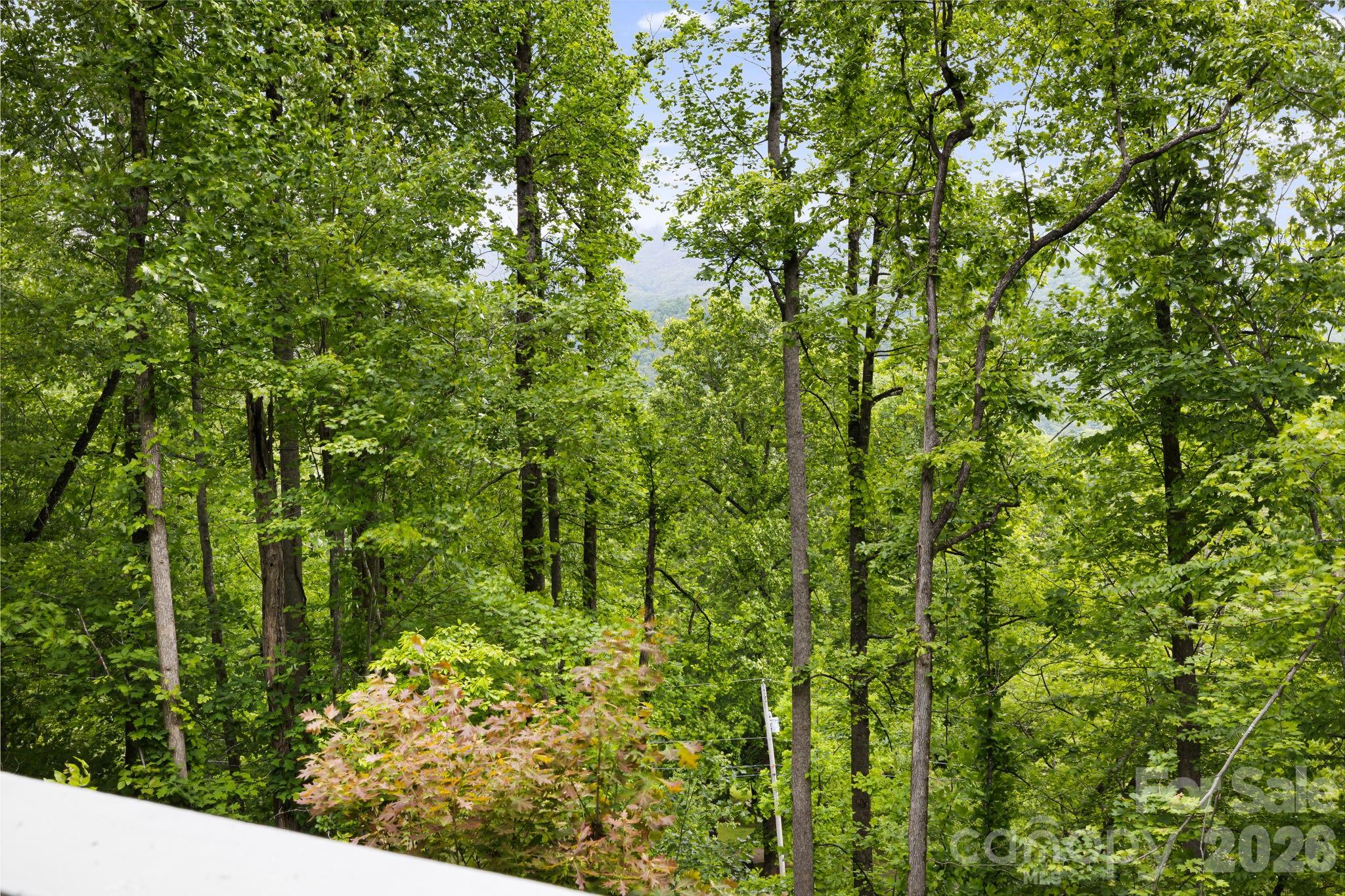 107 Mercy Ridge None — Sylva