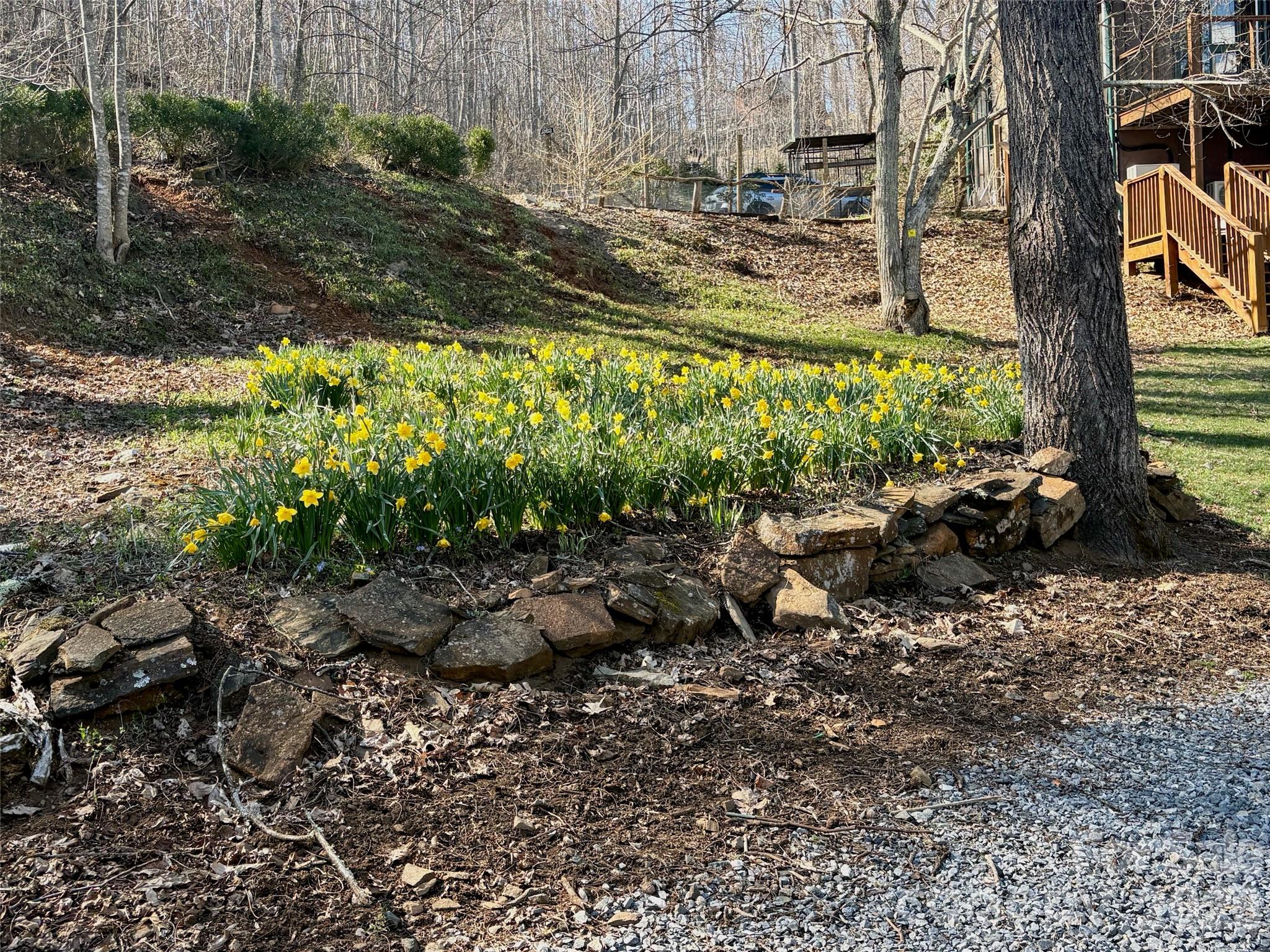 262 Azalea Hills Lane — Spruce Pine