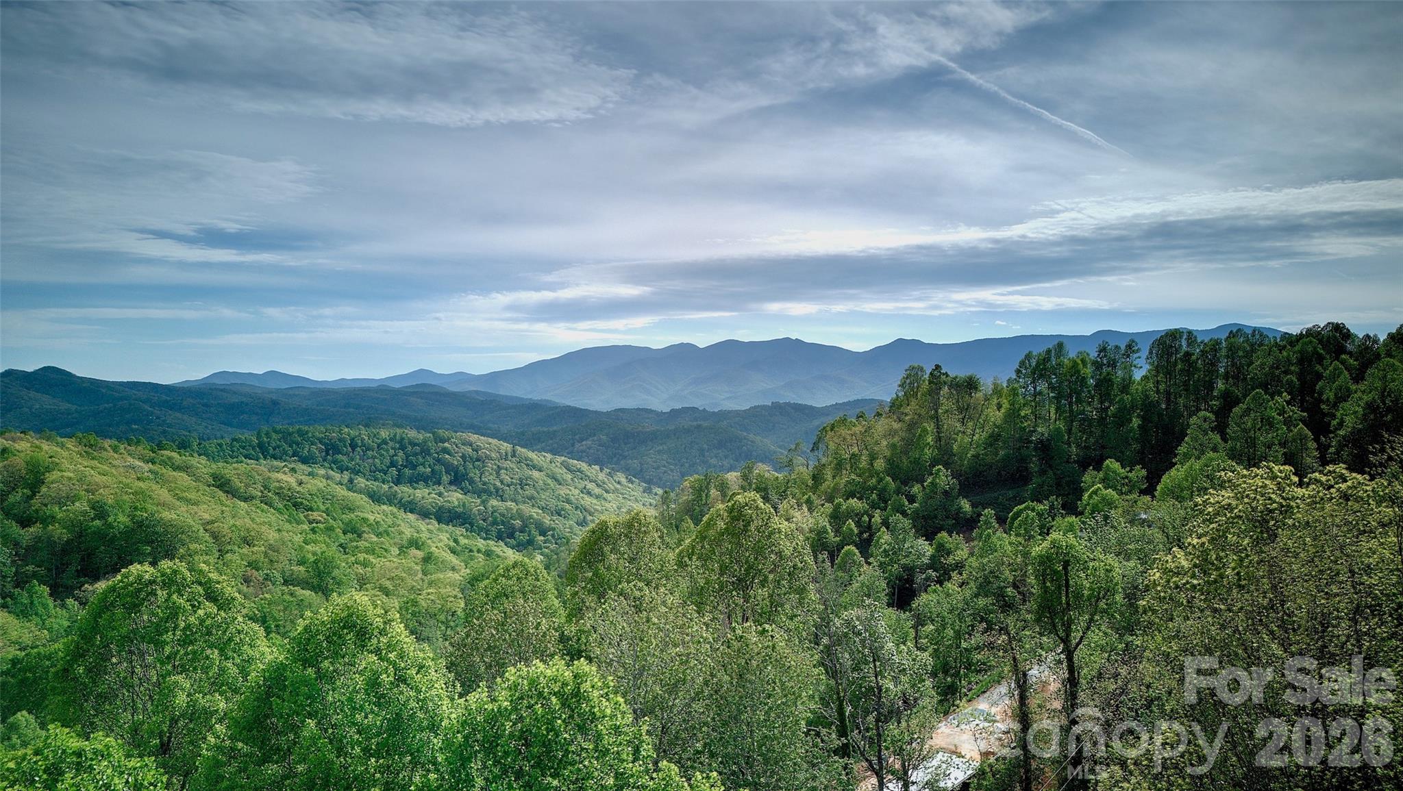 262 Azalea Hills Lane — Spruce Pine
