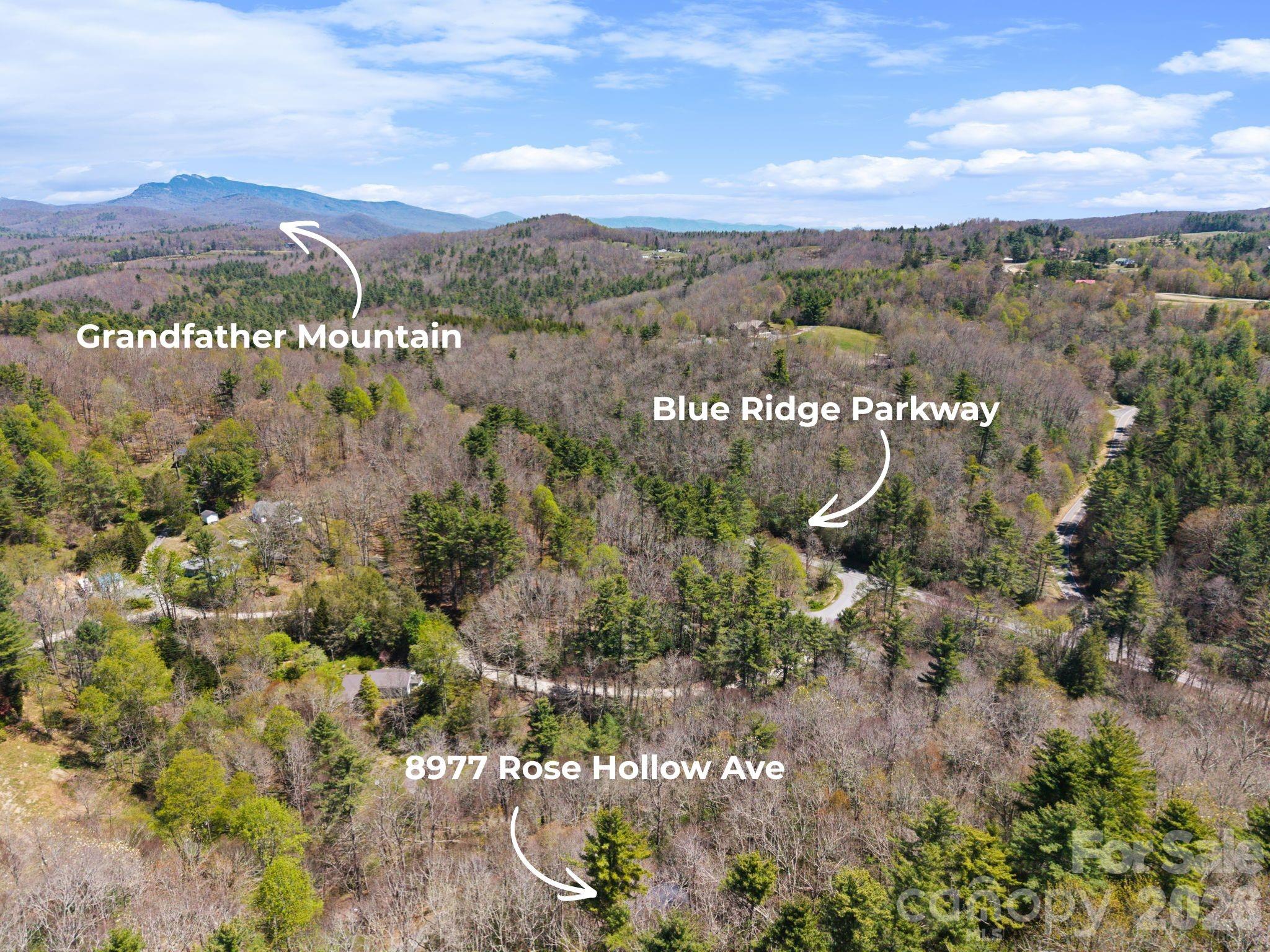 8977 Rose Hollow Avenue — Newland