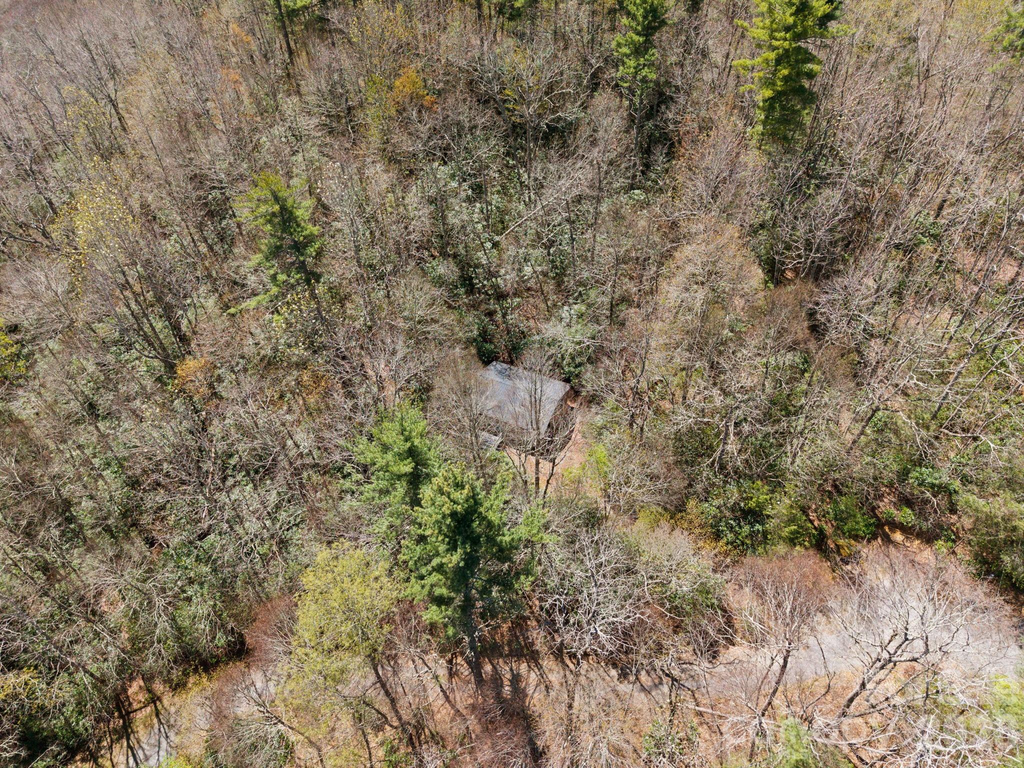 8977 Rose Hollow Avenue — Newland