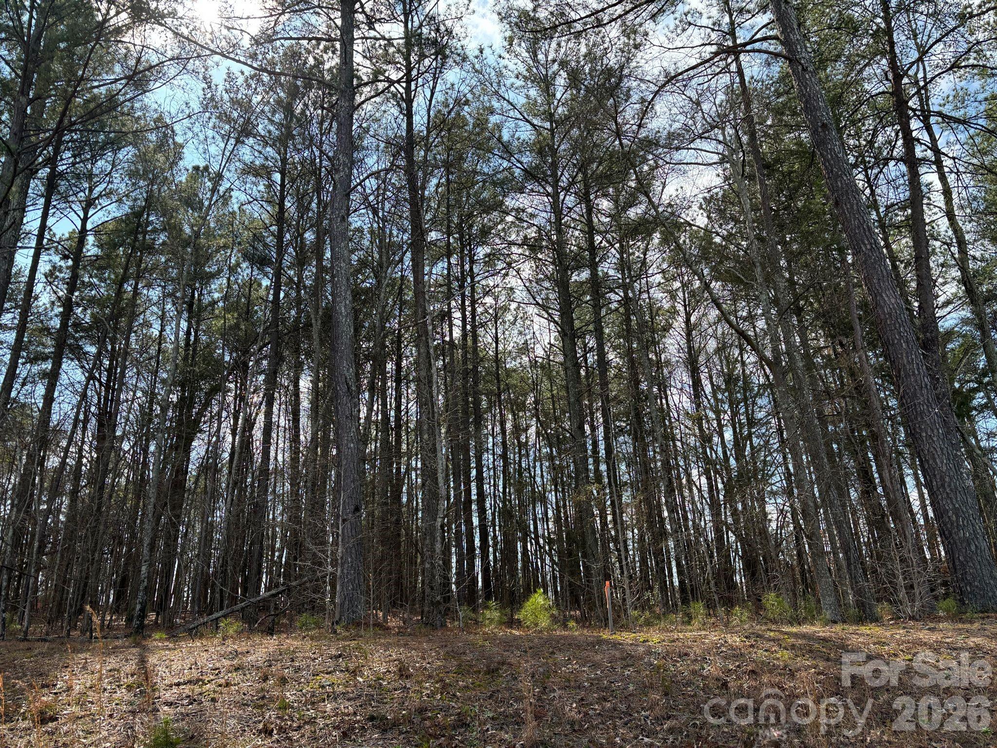 267 Brooks Springs Drive — Fort Mill