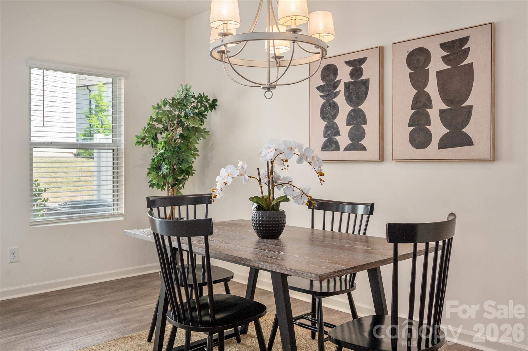 13205 Gadwal Pintail Drive — Charlotte