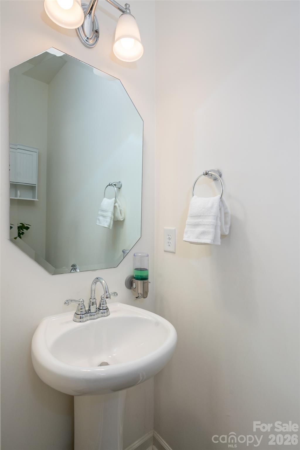 13205 Gadwal Pintail Drive — Charlotte