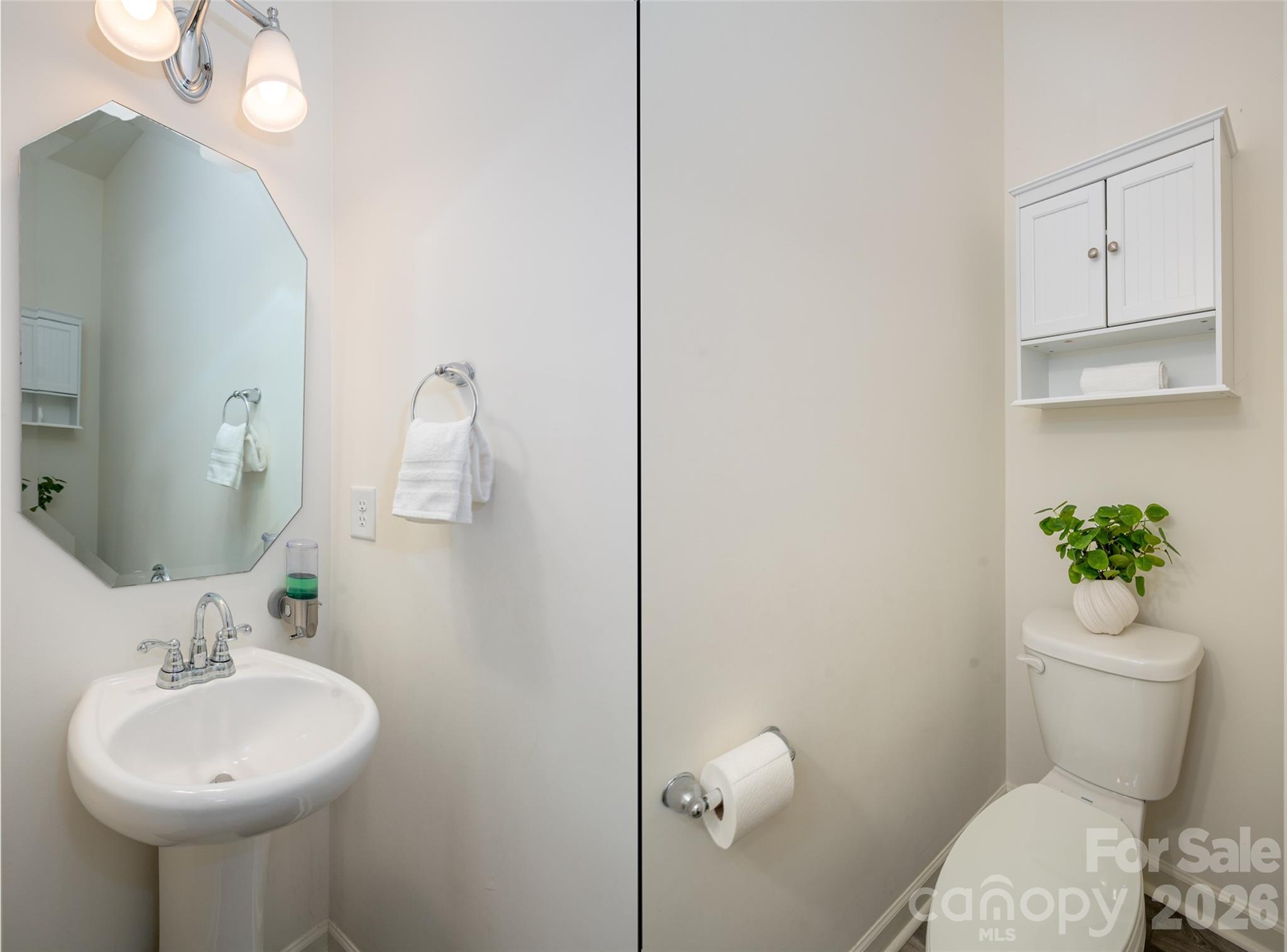 13205 Gadwal Pintail Drive — Charlotte