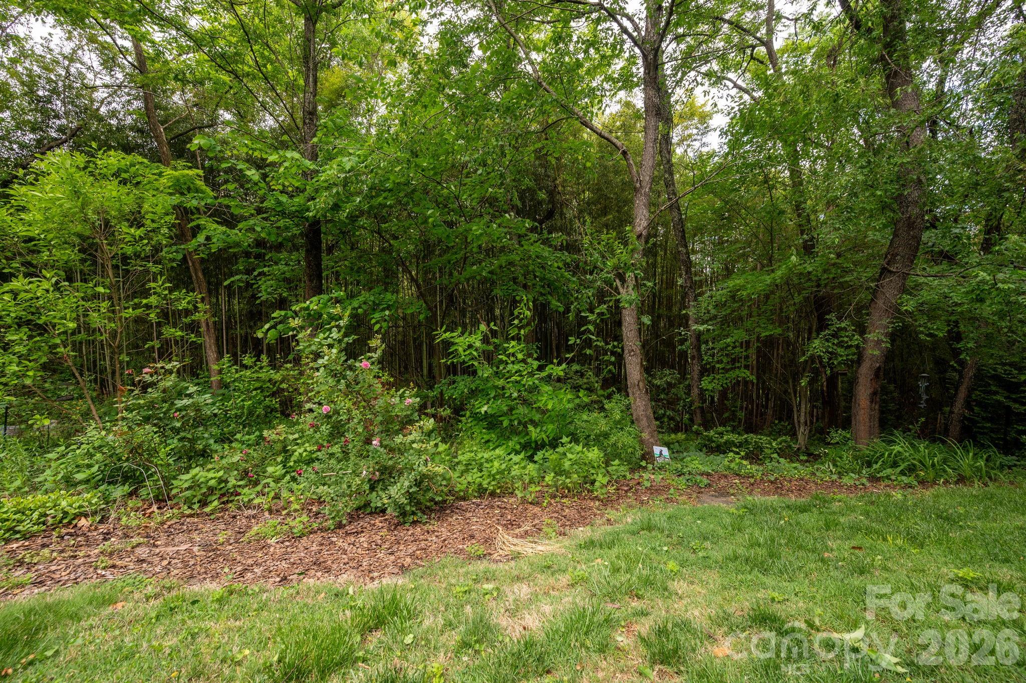 181 Glendale Avenue — Asheville