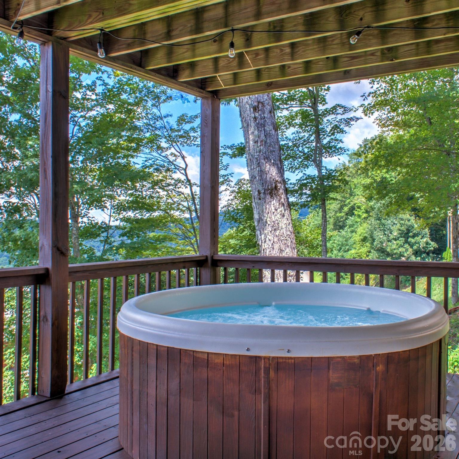 181 Scenic Wolf Drive — Mars Hill