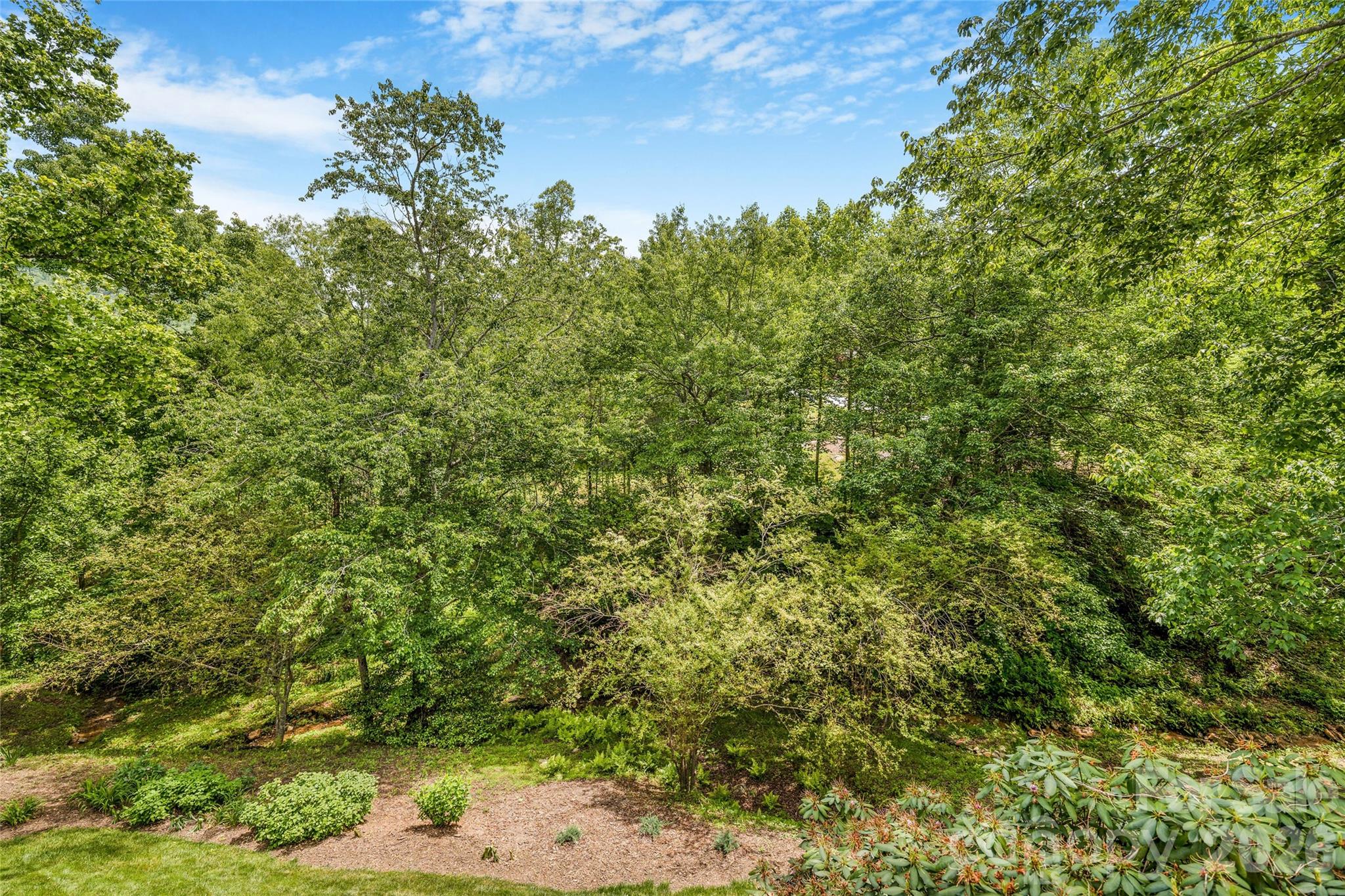 50 Meadow Village Lane — Asheville