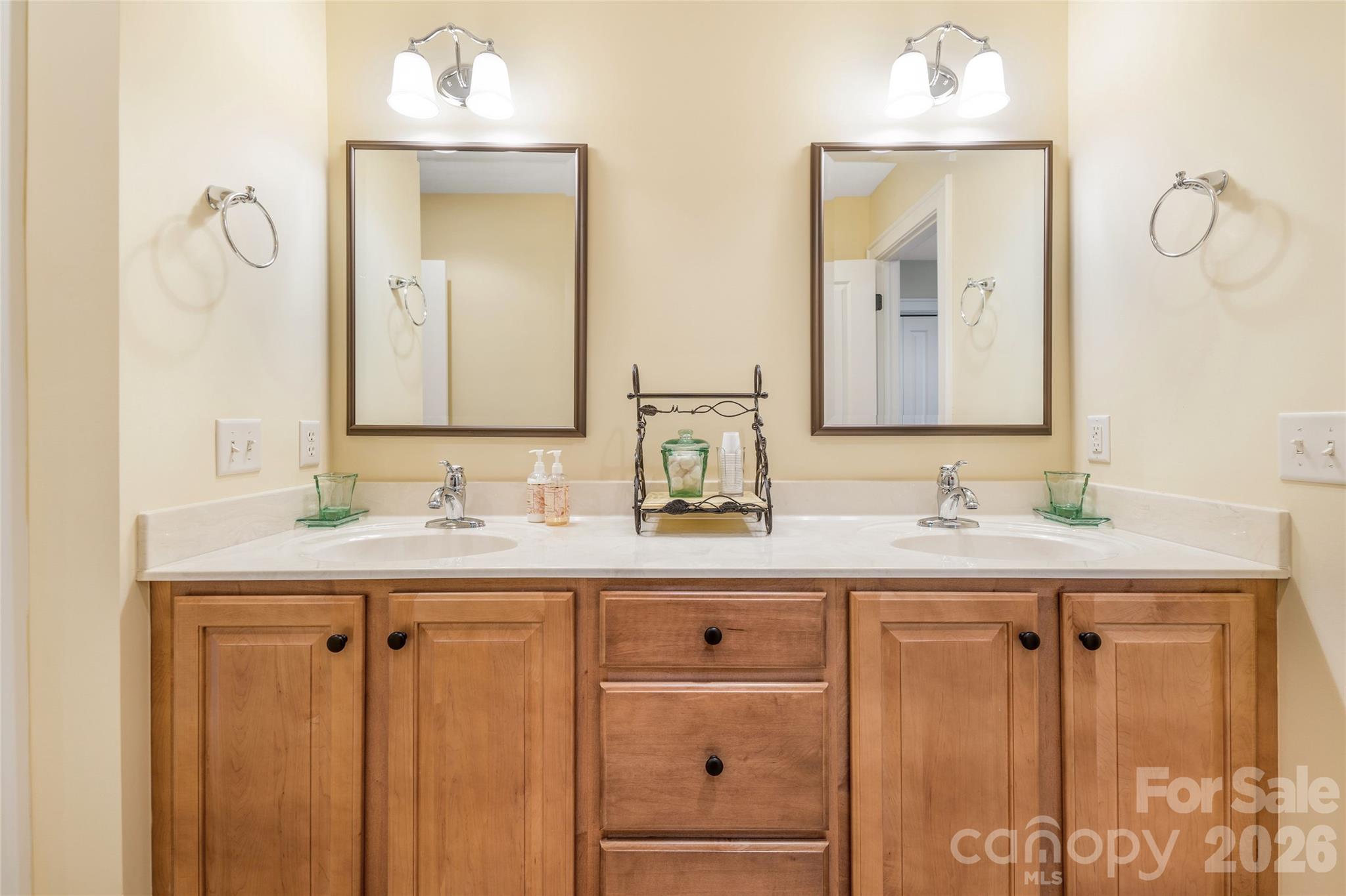 50 Meadow Village Lane — Asheville