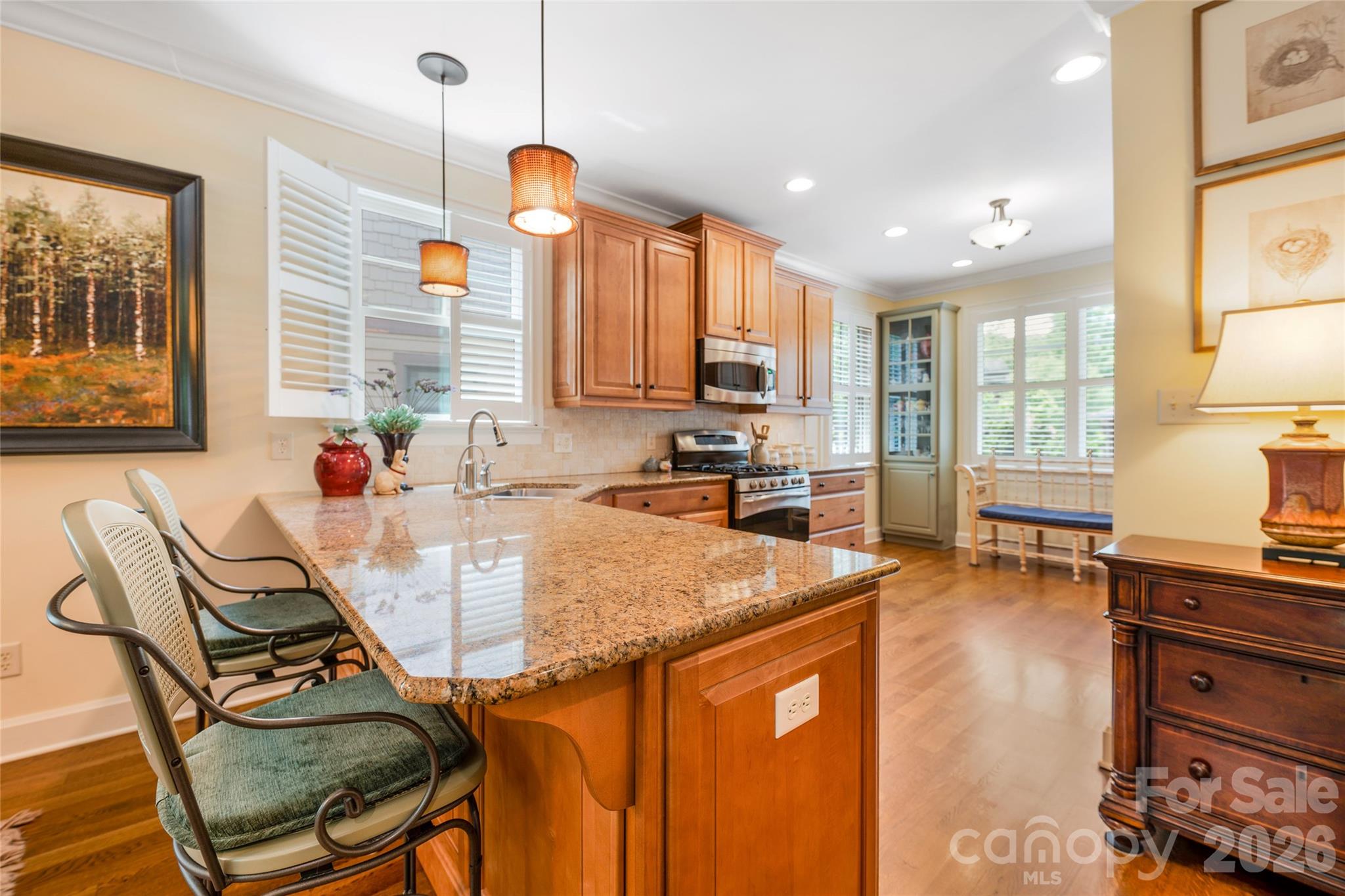50 Meadow Village Lane — Asheville