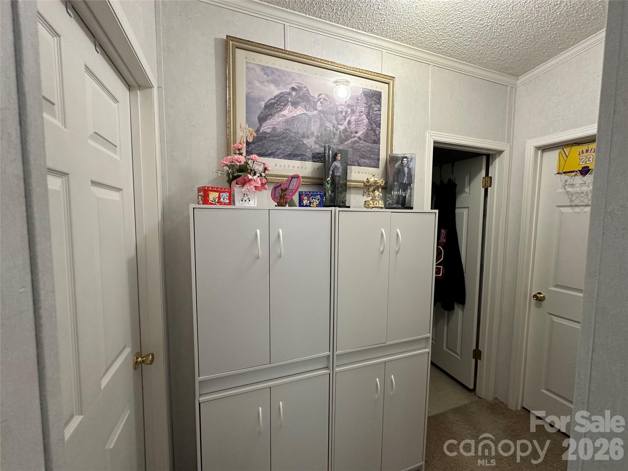 2495 Melvin Propst Drive — Morganton