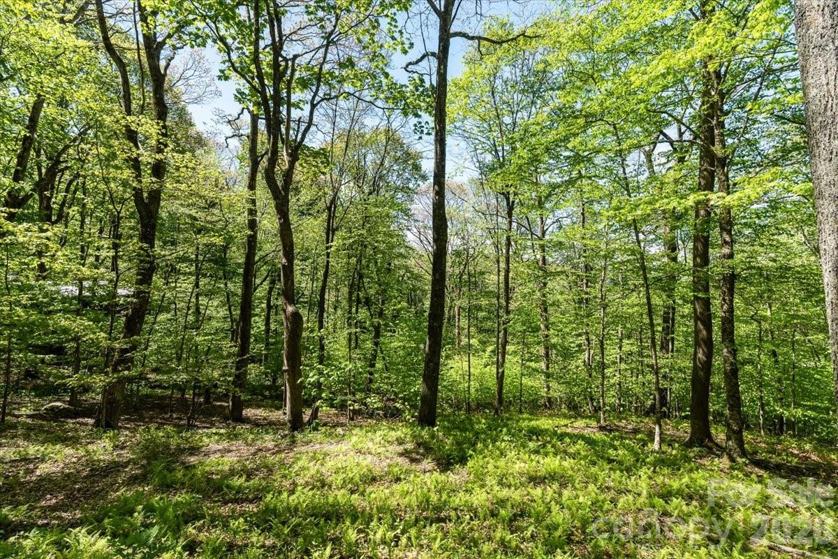 524 McDaris Loop Drive #179/180 — Mars Hill