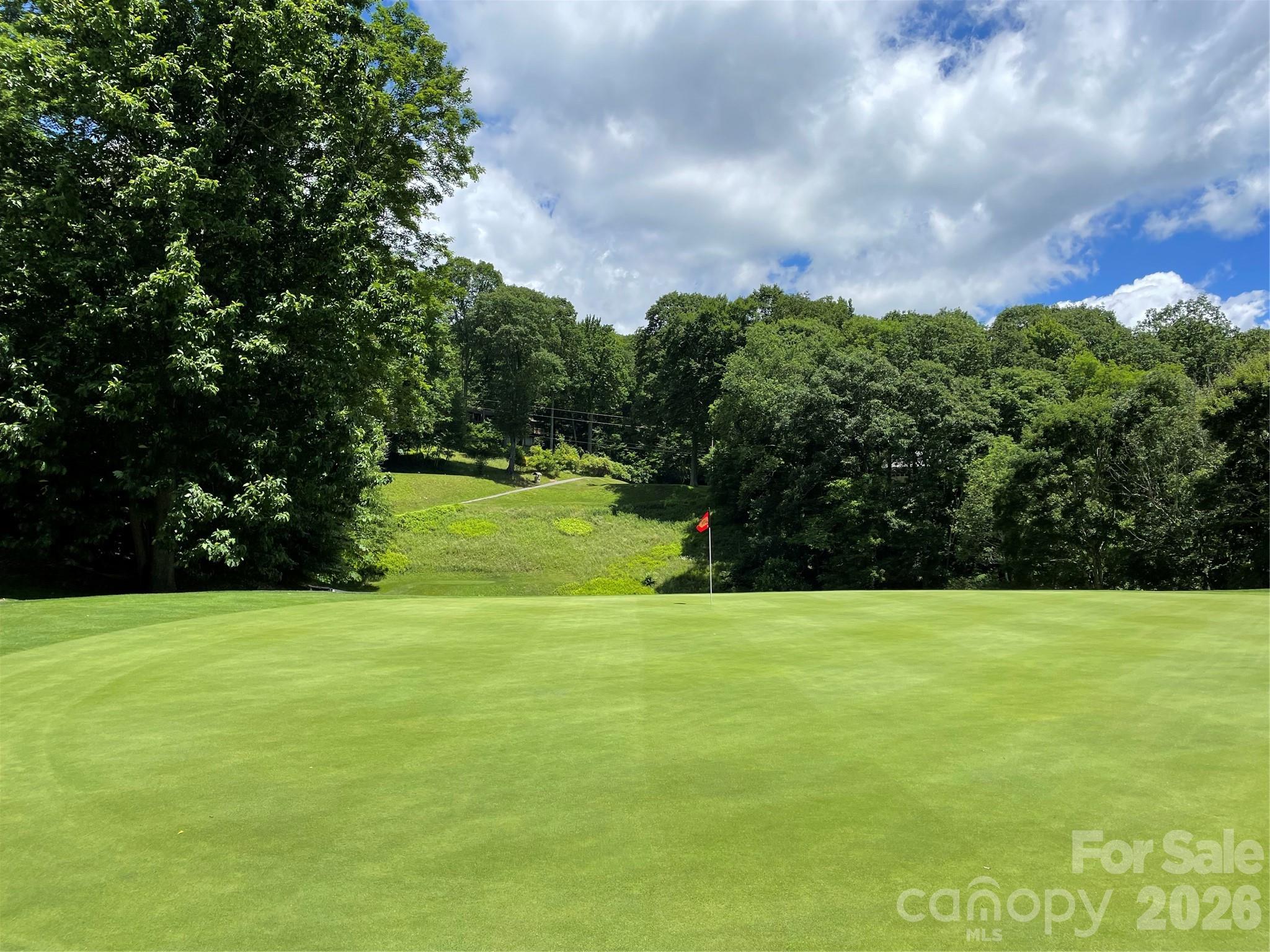 524 McDaris Loop Drive #179/180 — Mars Hill