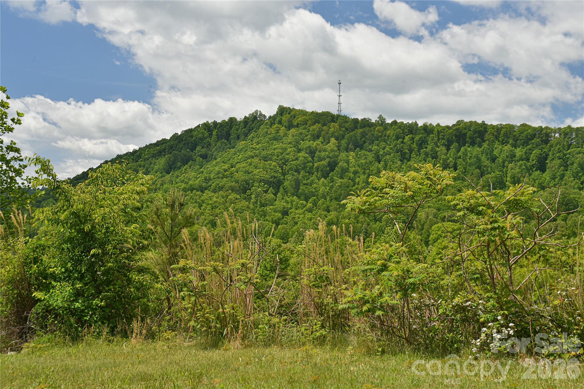 116 Kay Road — Flat Rock