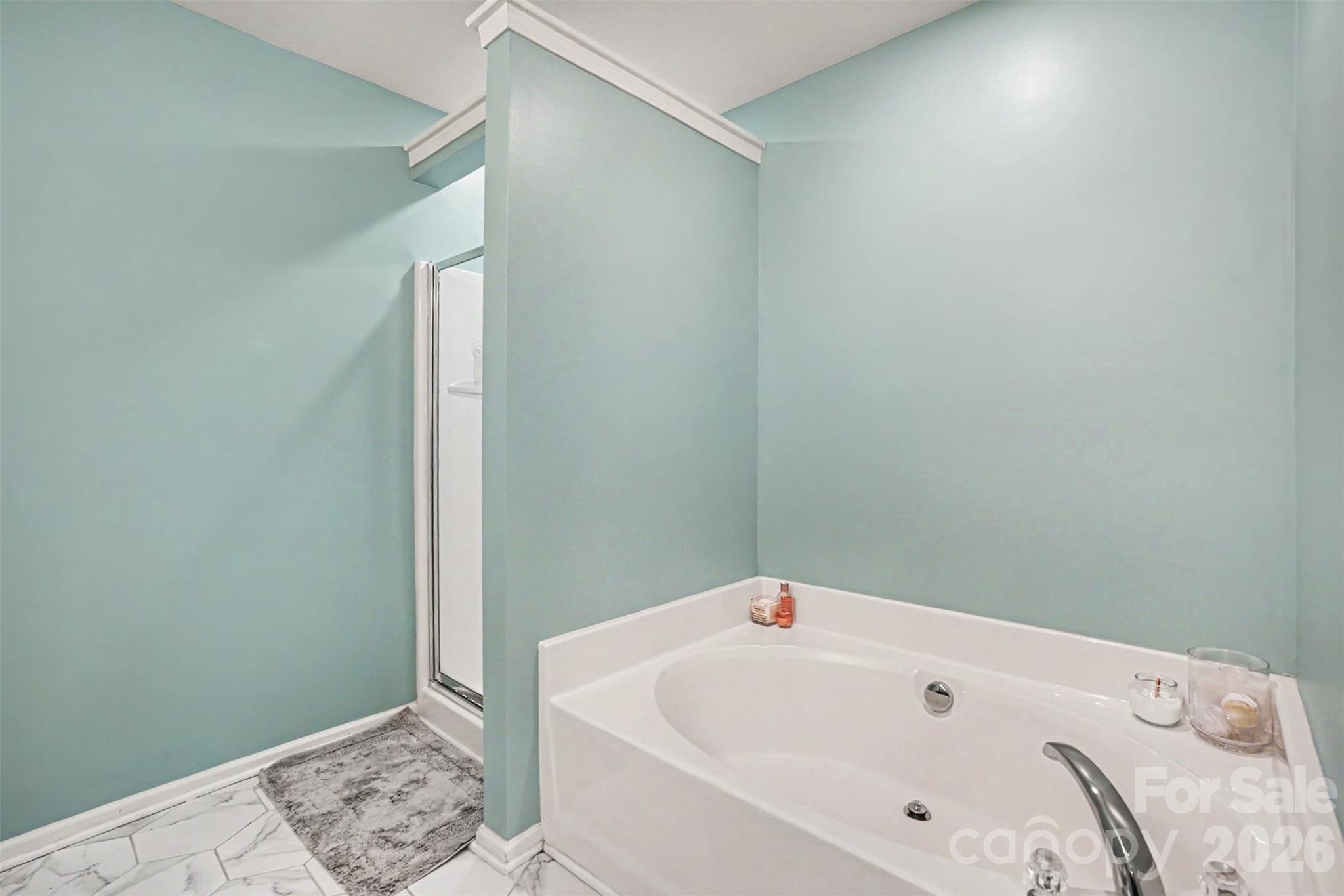 14735 Lions Paw Street — Charlotte