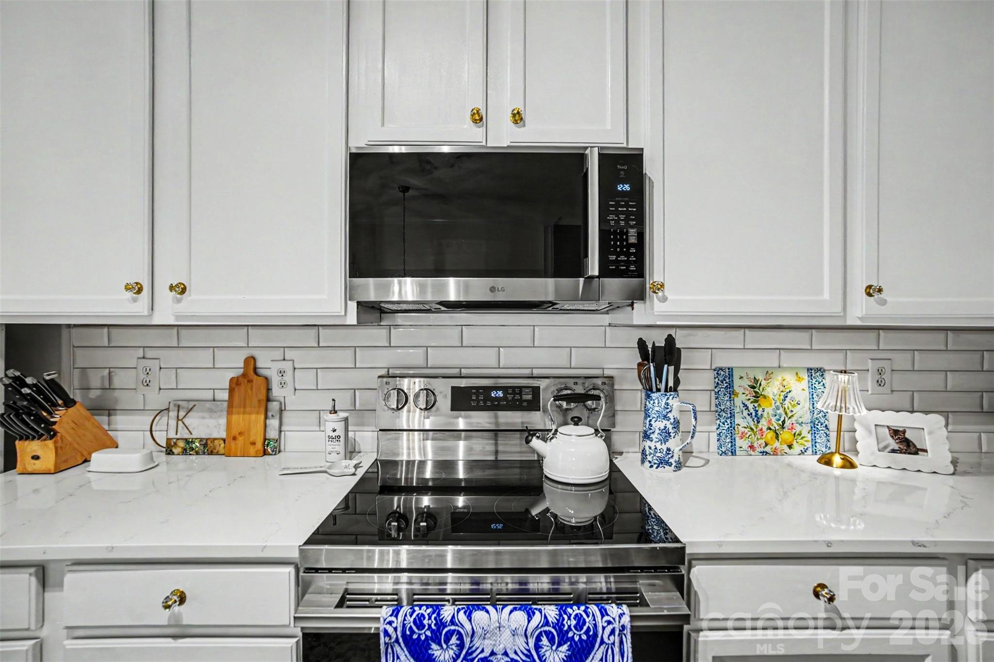 14735 Lions Paw Street — Charlotte