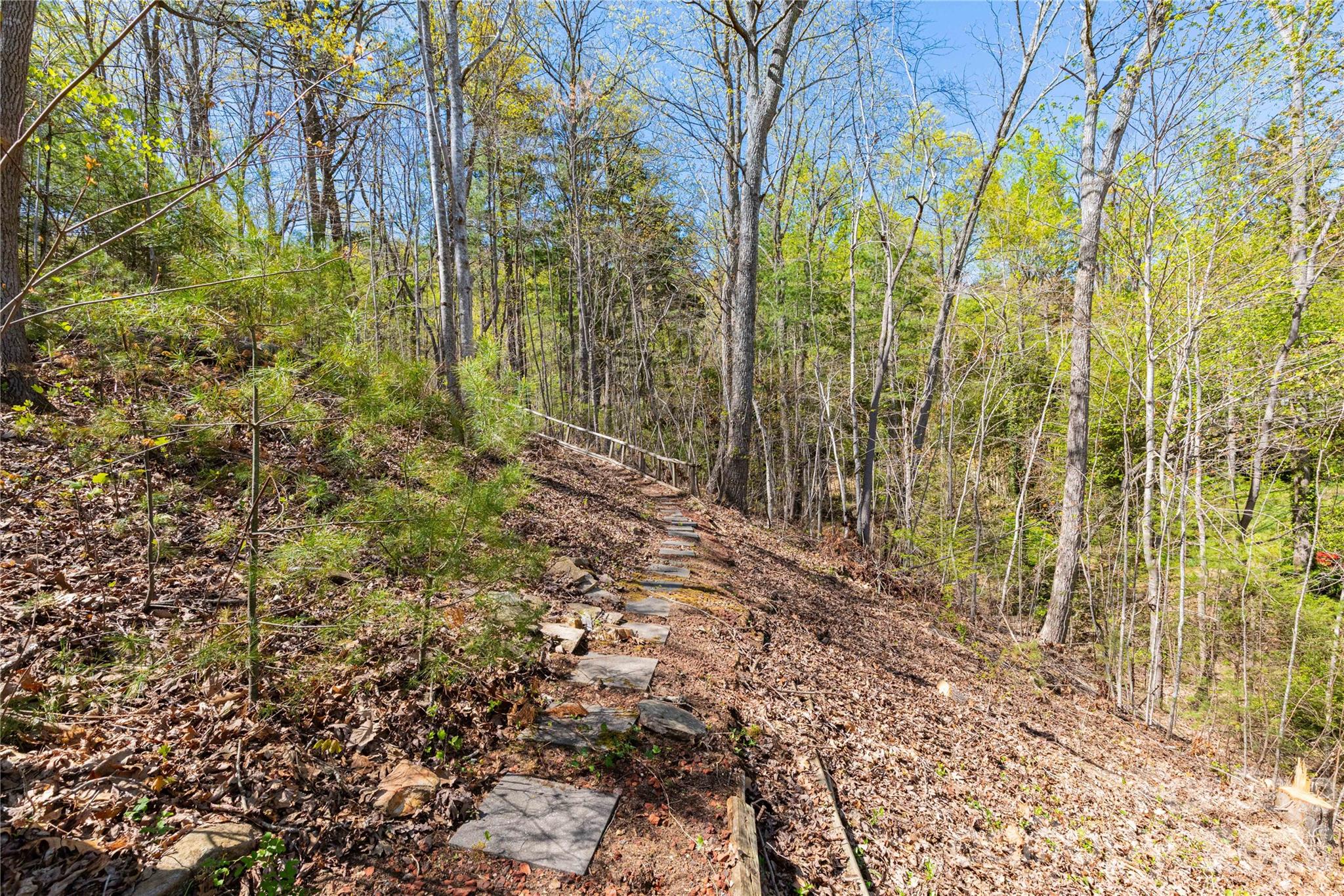 22 Robinhood Road — Asheville